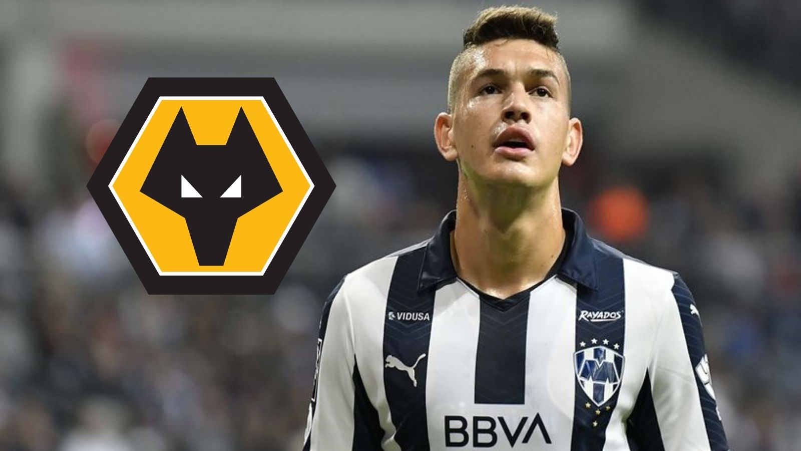 César Montes Rayados vs Wolves