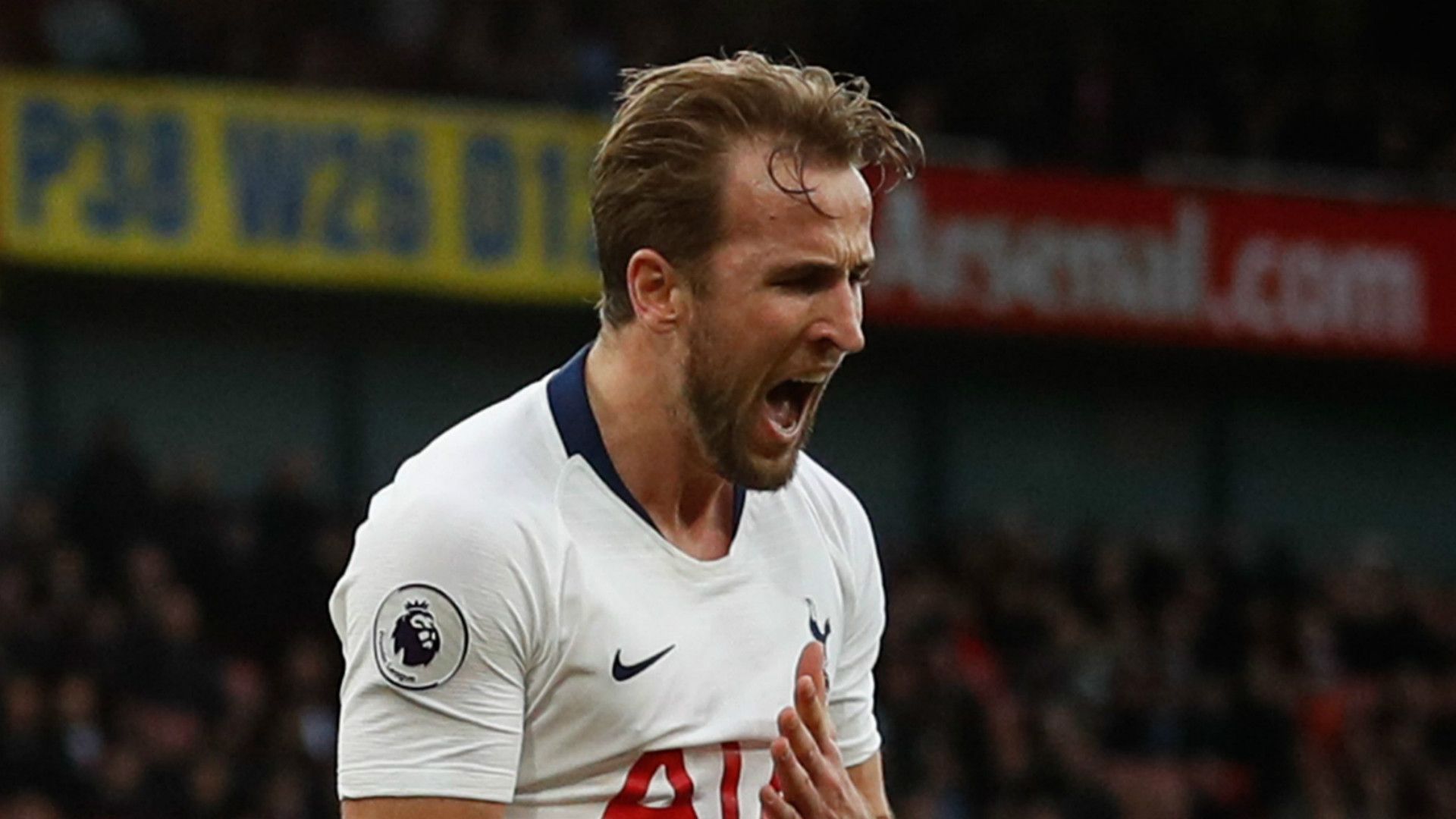 Harry Kane Tottenham 2018-19