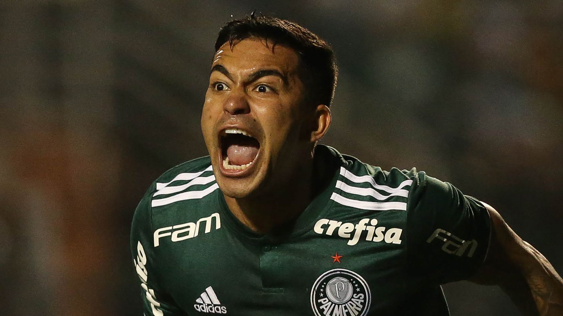 Dudu Palmeiras Bahia Copa do Brasil 16082018