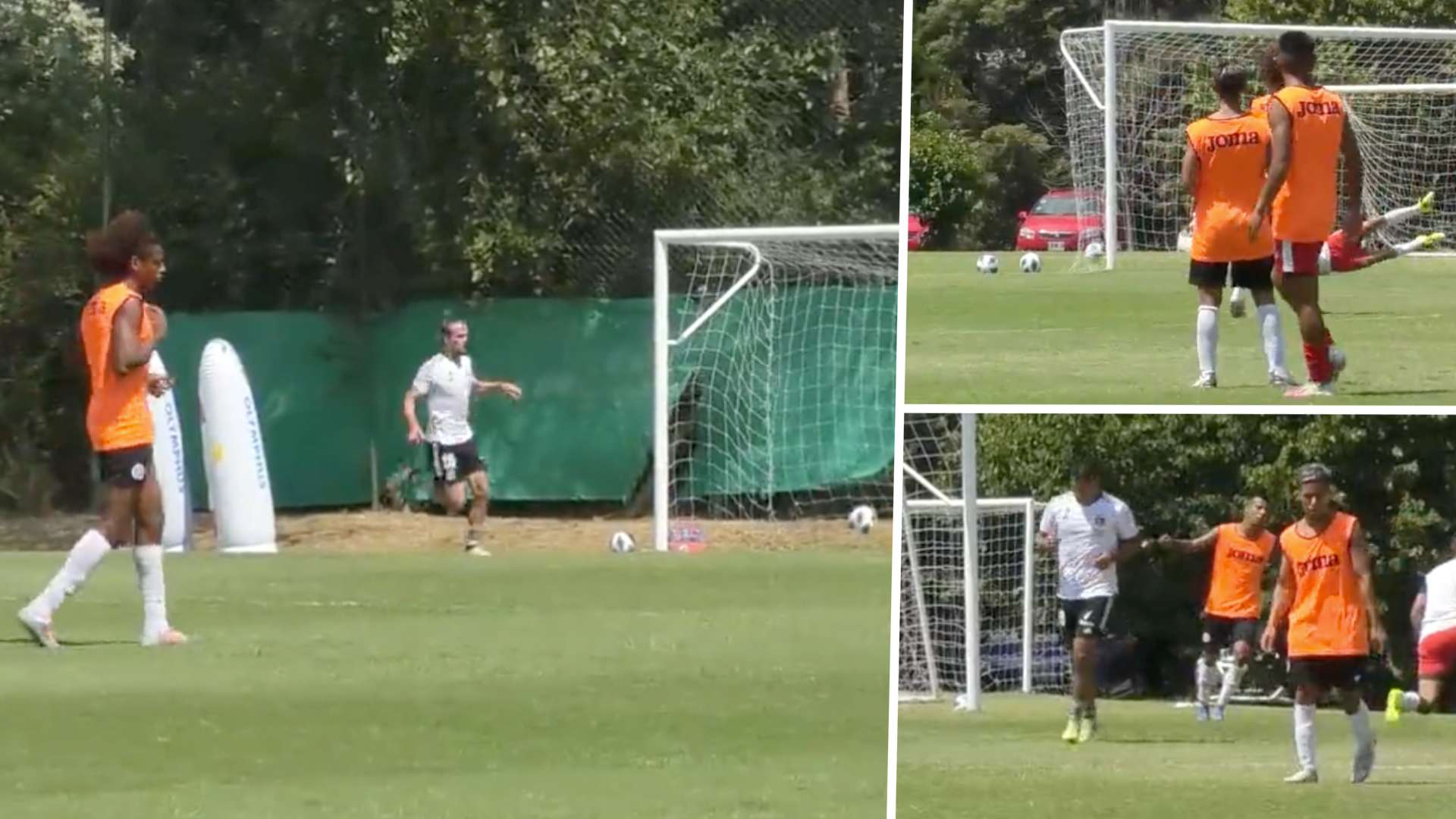 Golazos Colo Colo Fénix 110121