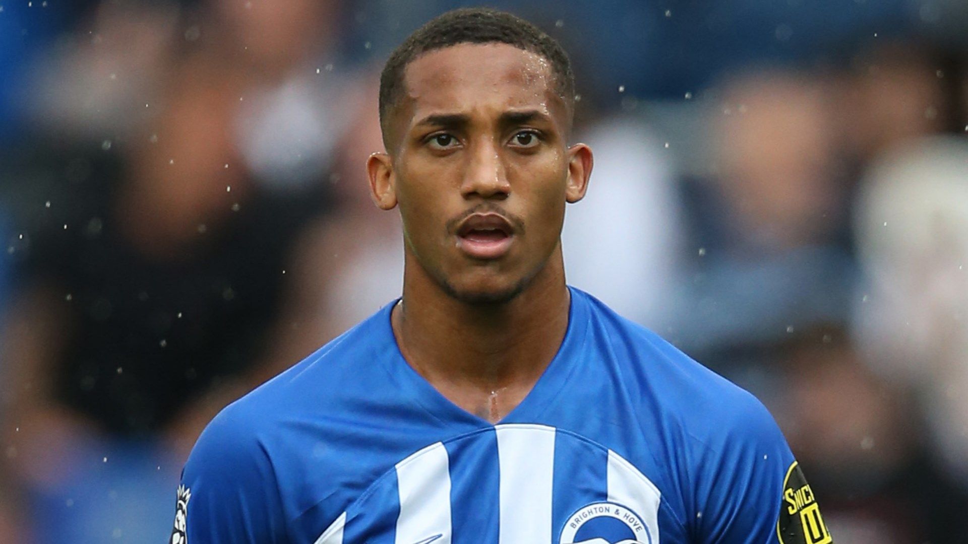 Joao Pedro Brighton 2023-24