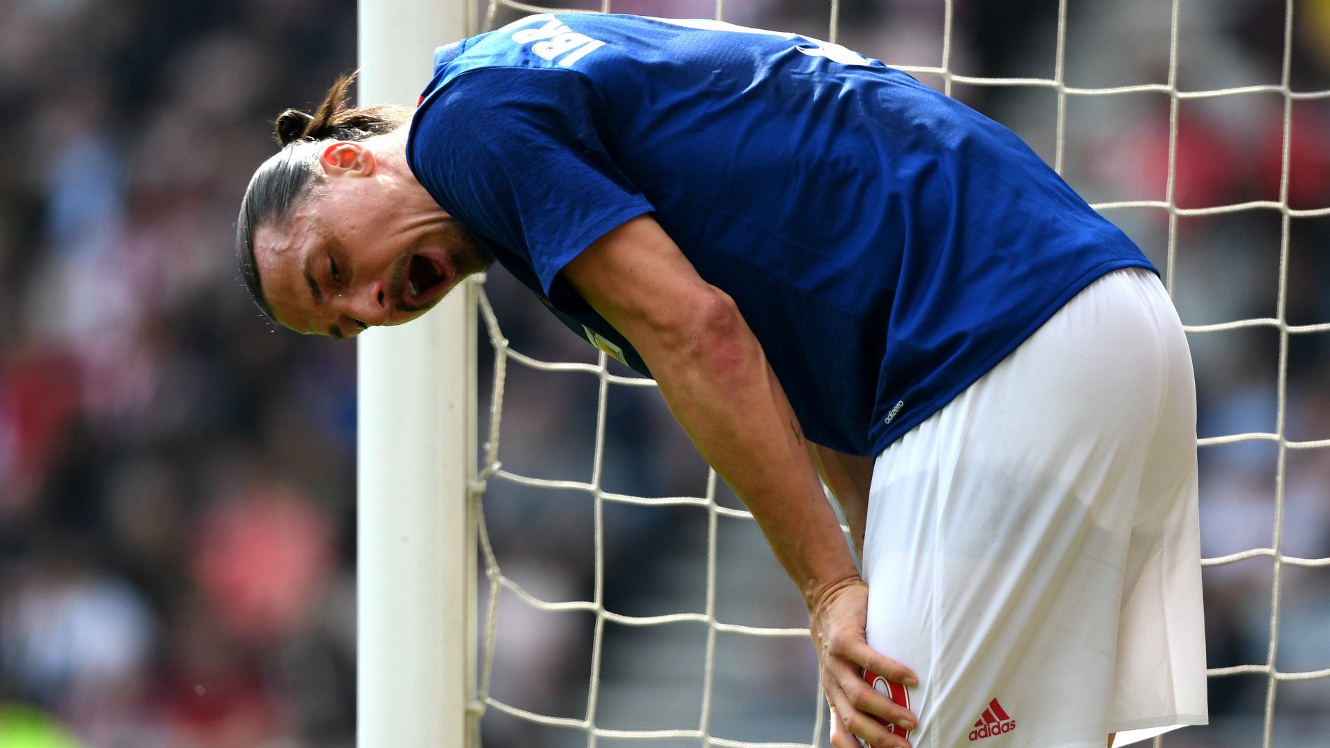 zlatan ibrahimovic - cropped