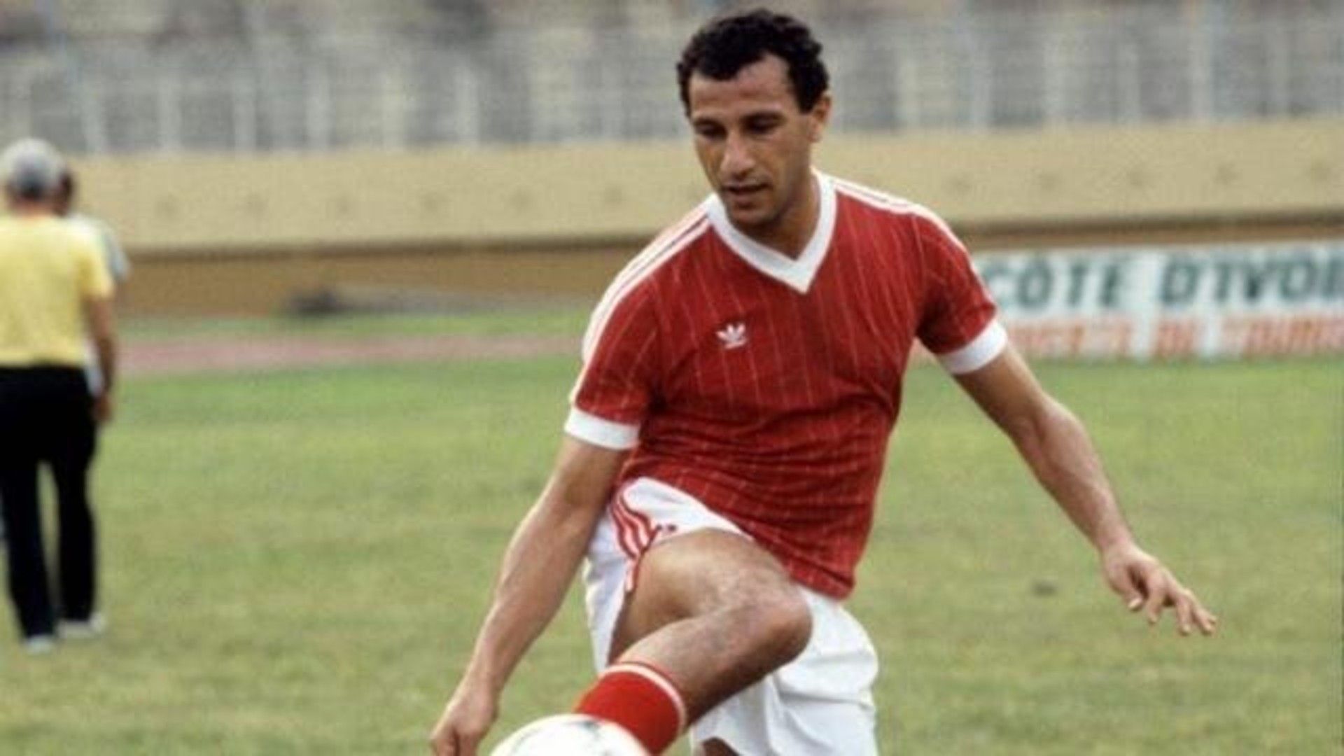 محمود الخطيب