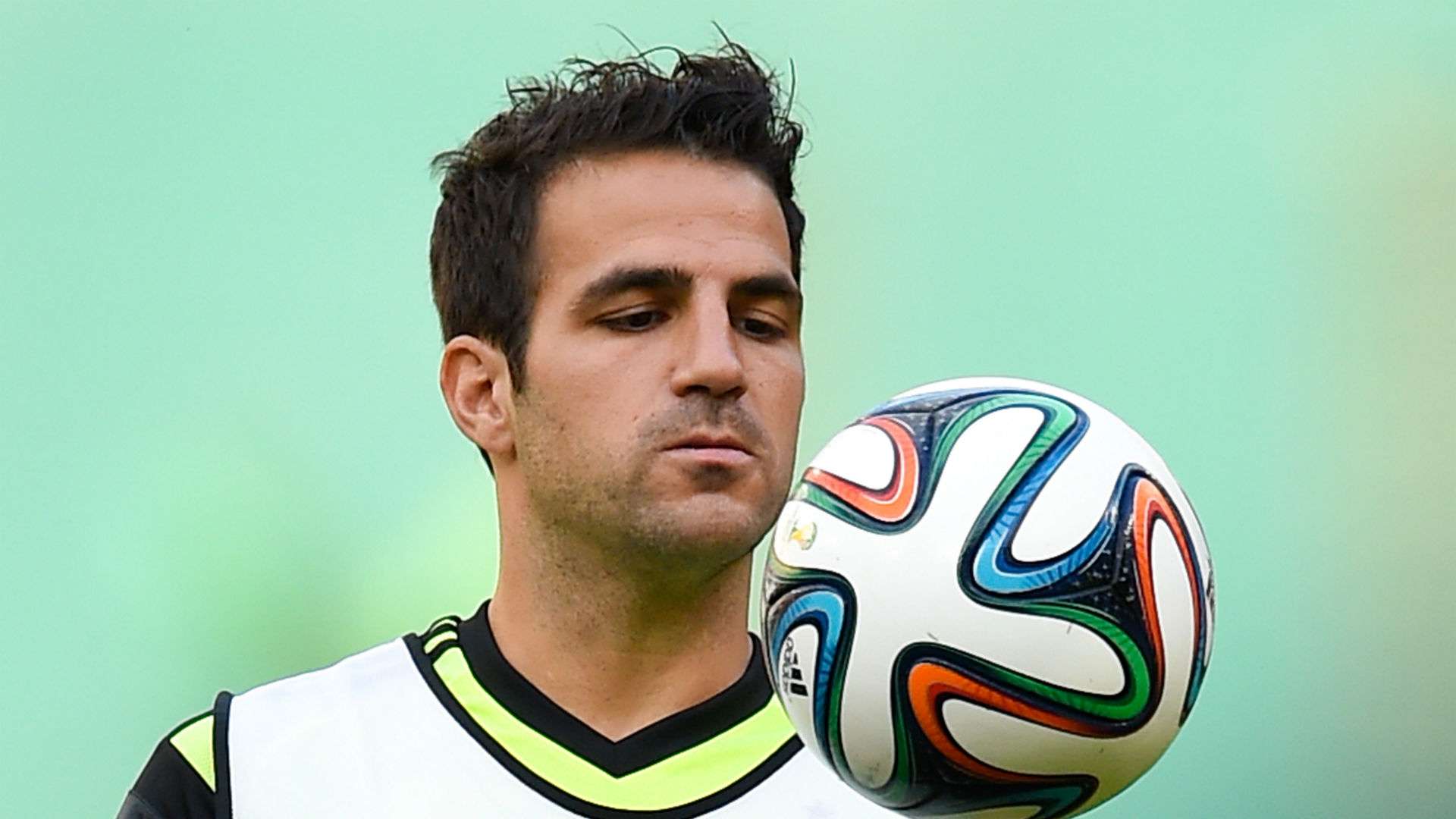 Cesc Fabregas Spain