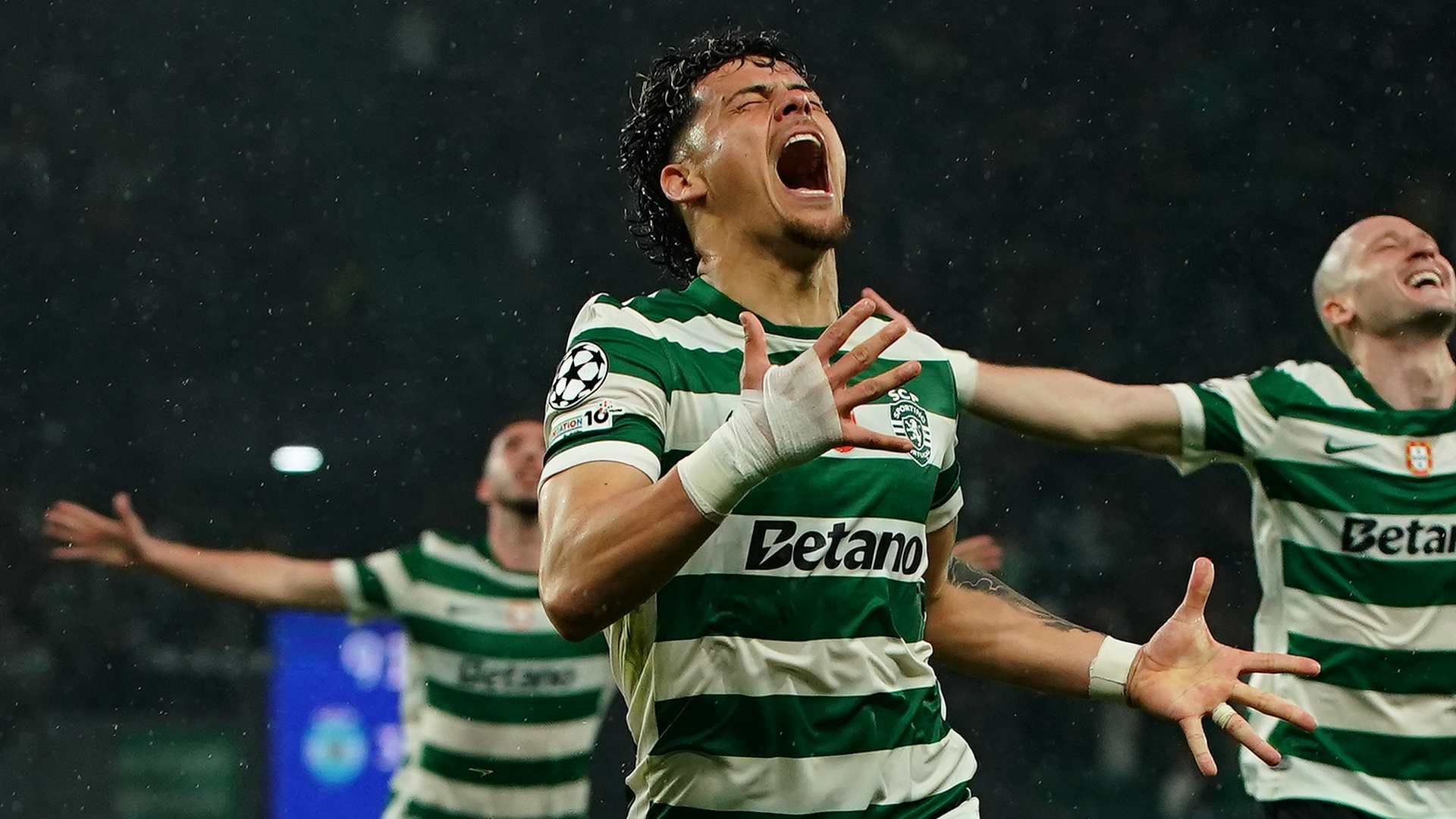 araujo