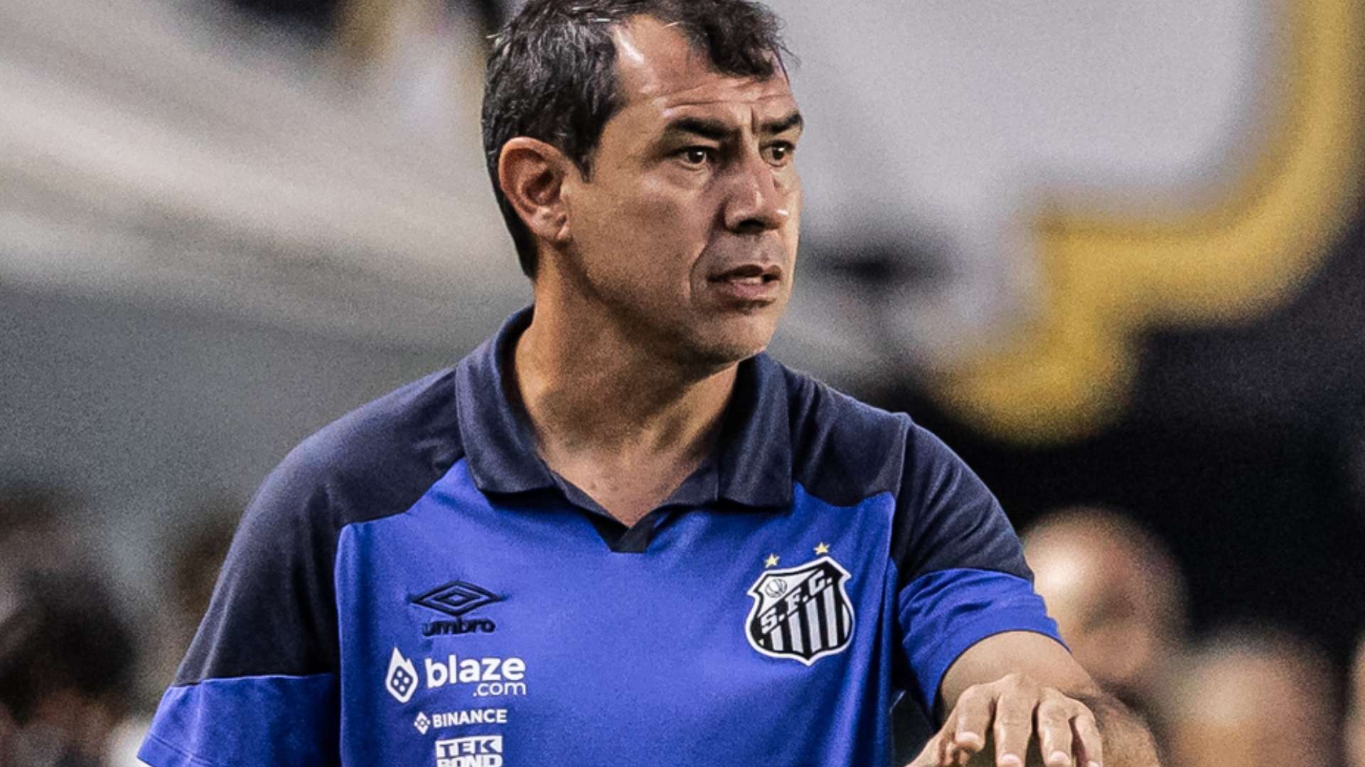 Fábio Carille, Santos 2024