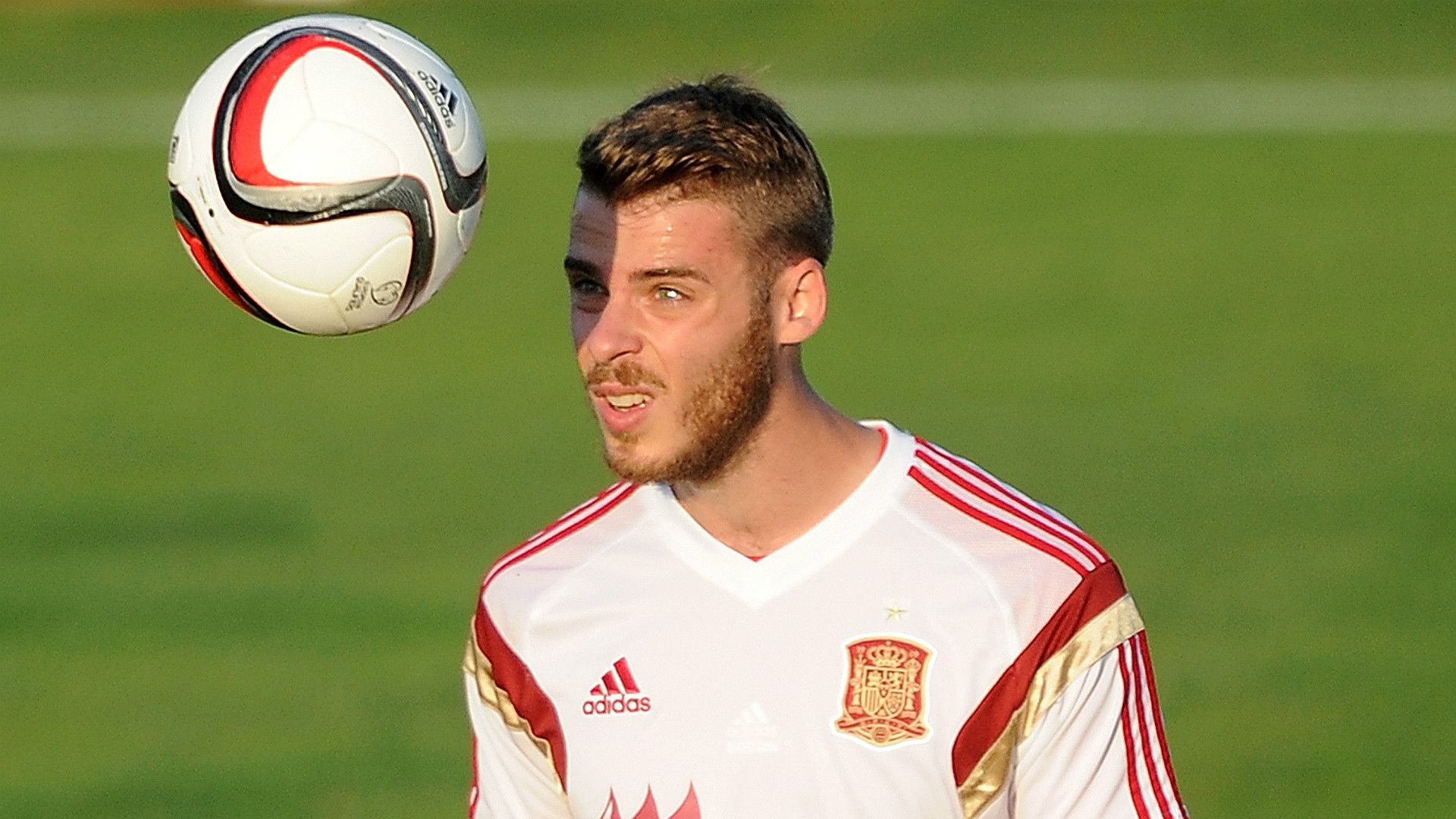 David De Gea Spain