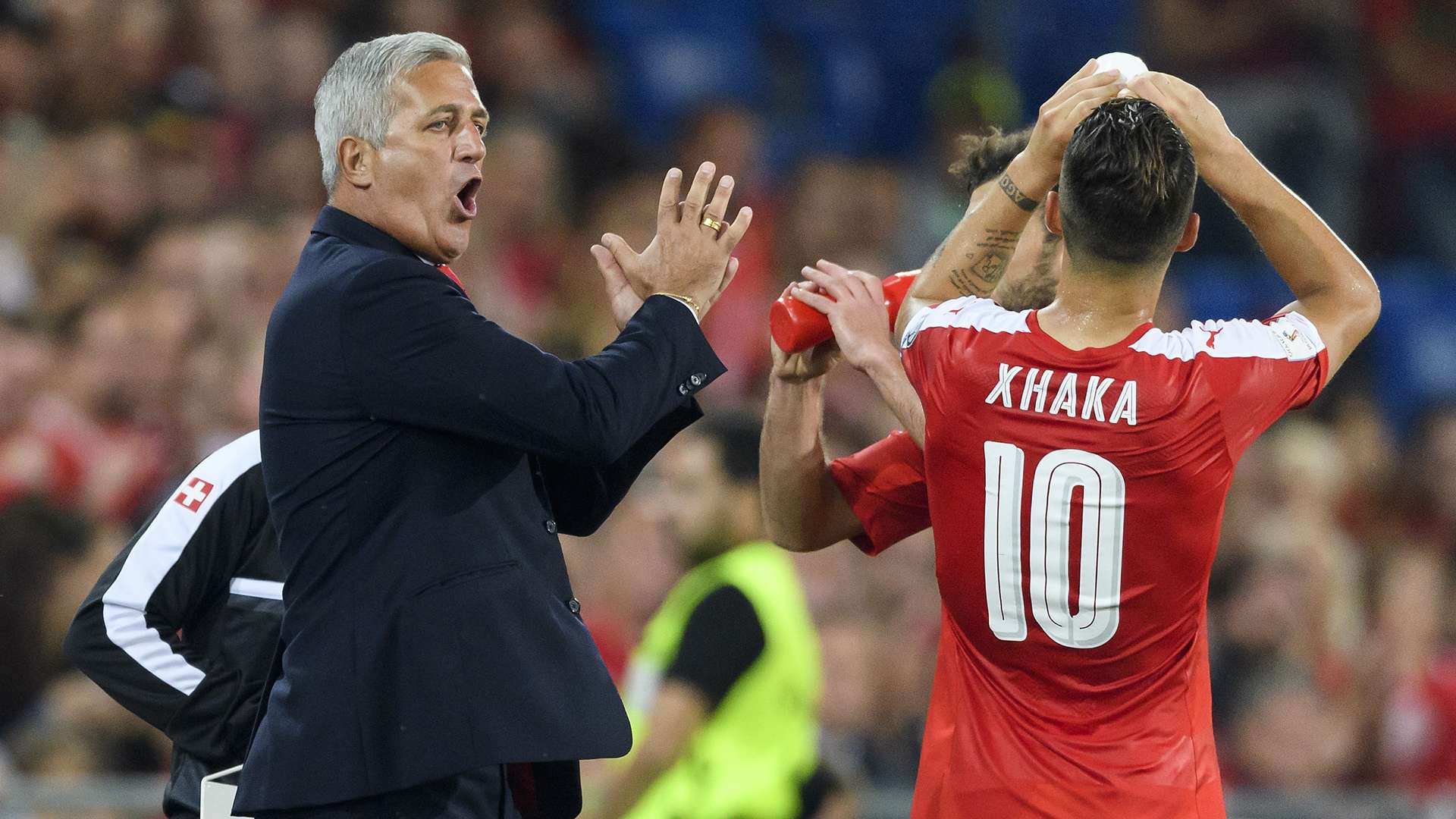 Vladimir Petkovic Schweiz Switzerland