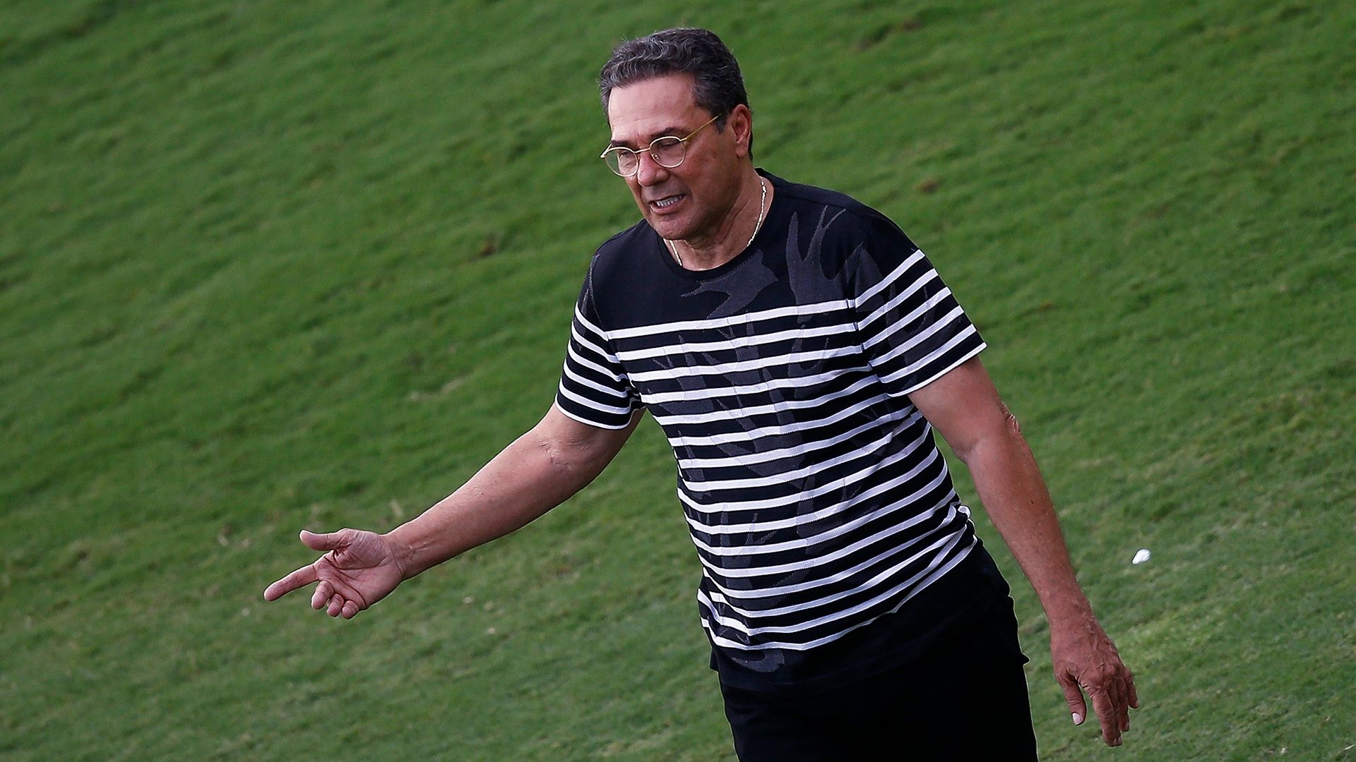 Vanderlei Luxemburgo