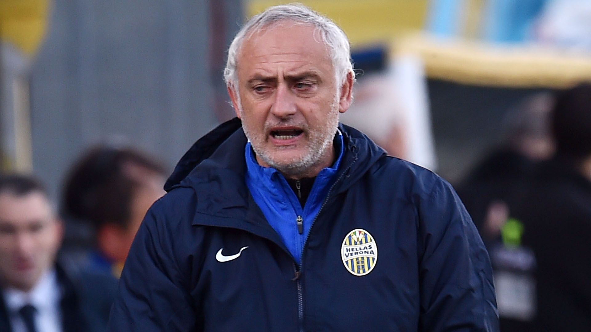 Andrea Mandorlini Verona