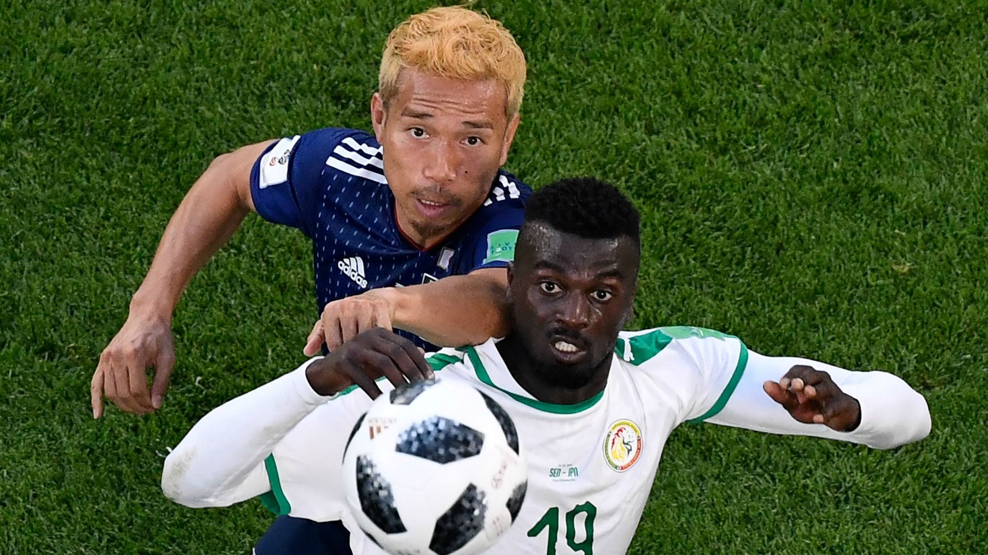 Japón - Senegal