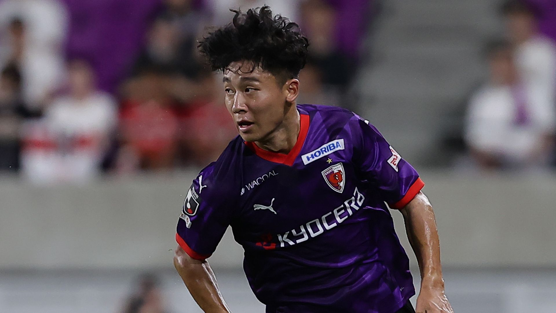 京都サンガF.C. No.17安齋悠人選手Lサイズ 24シーズンユニフォーム 京都、不適切な行為で安齋悠人の契約を解除…昨季は尚志高から