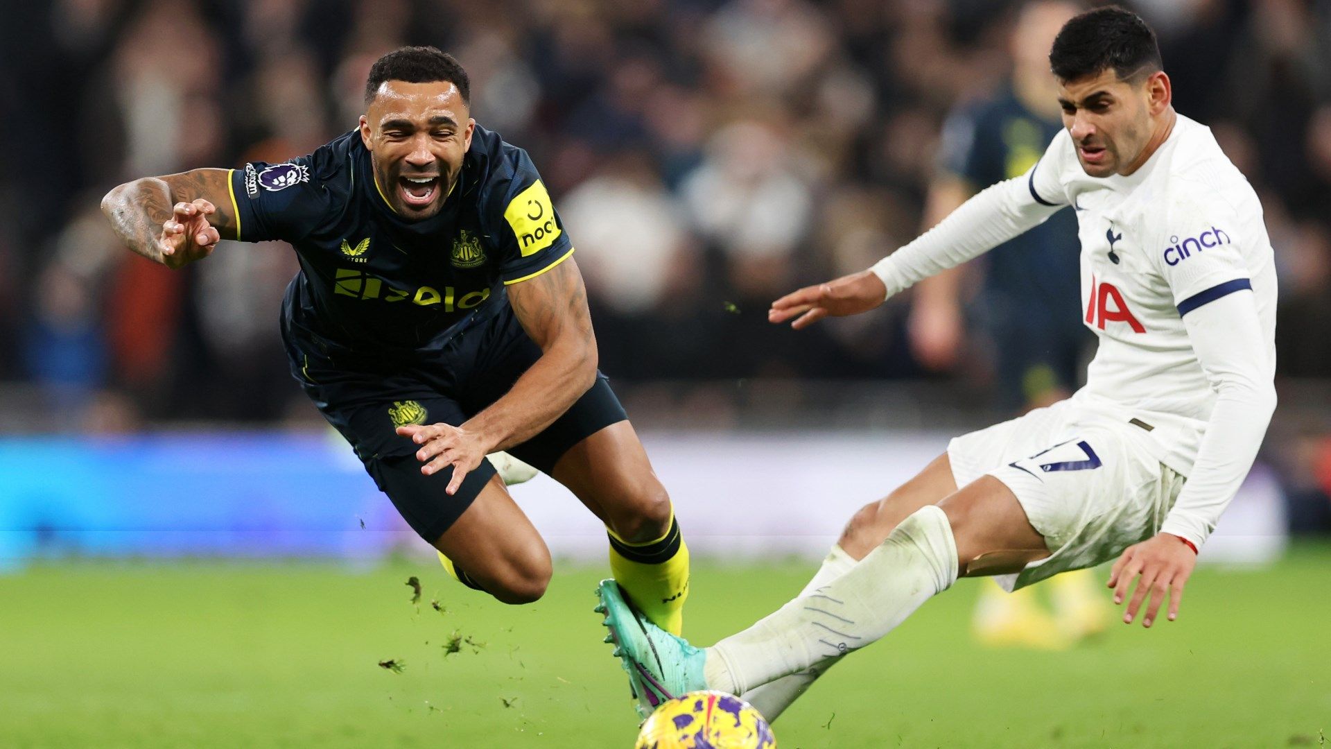 Wilson-Romero-Tottenham