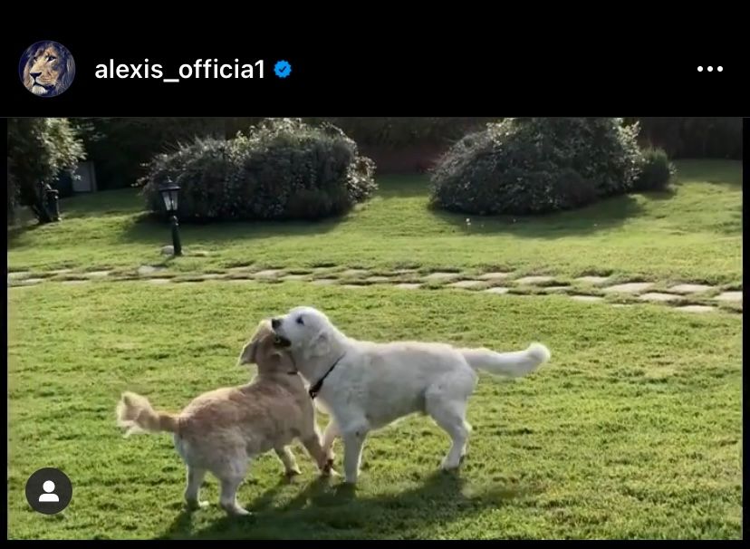 Katerina Safarova - Alexis Sánchez EMBED