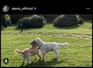 Katerina Safarova - Alexis Sánchez EMBED