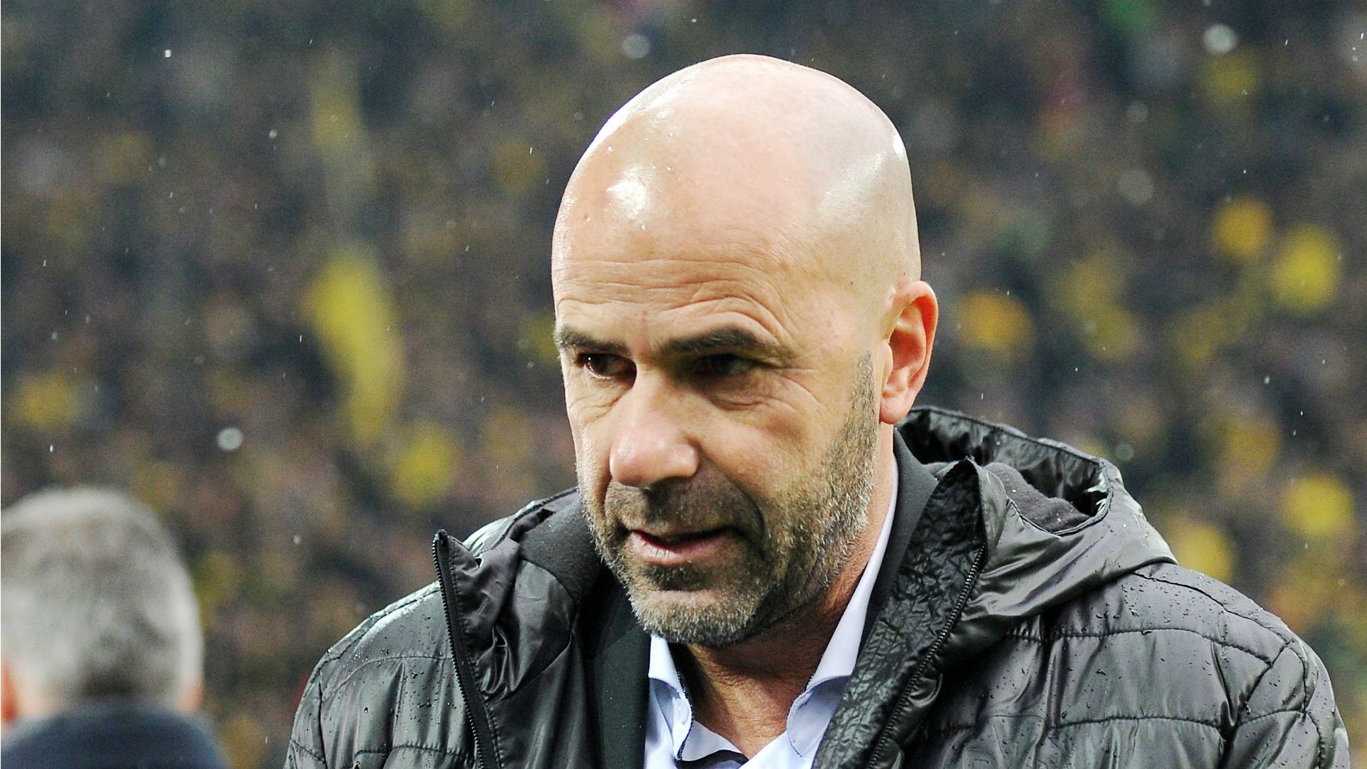 Peter Bosz, 12092017