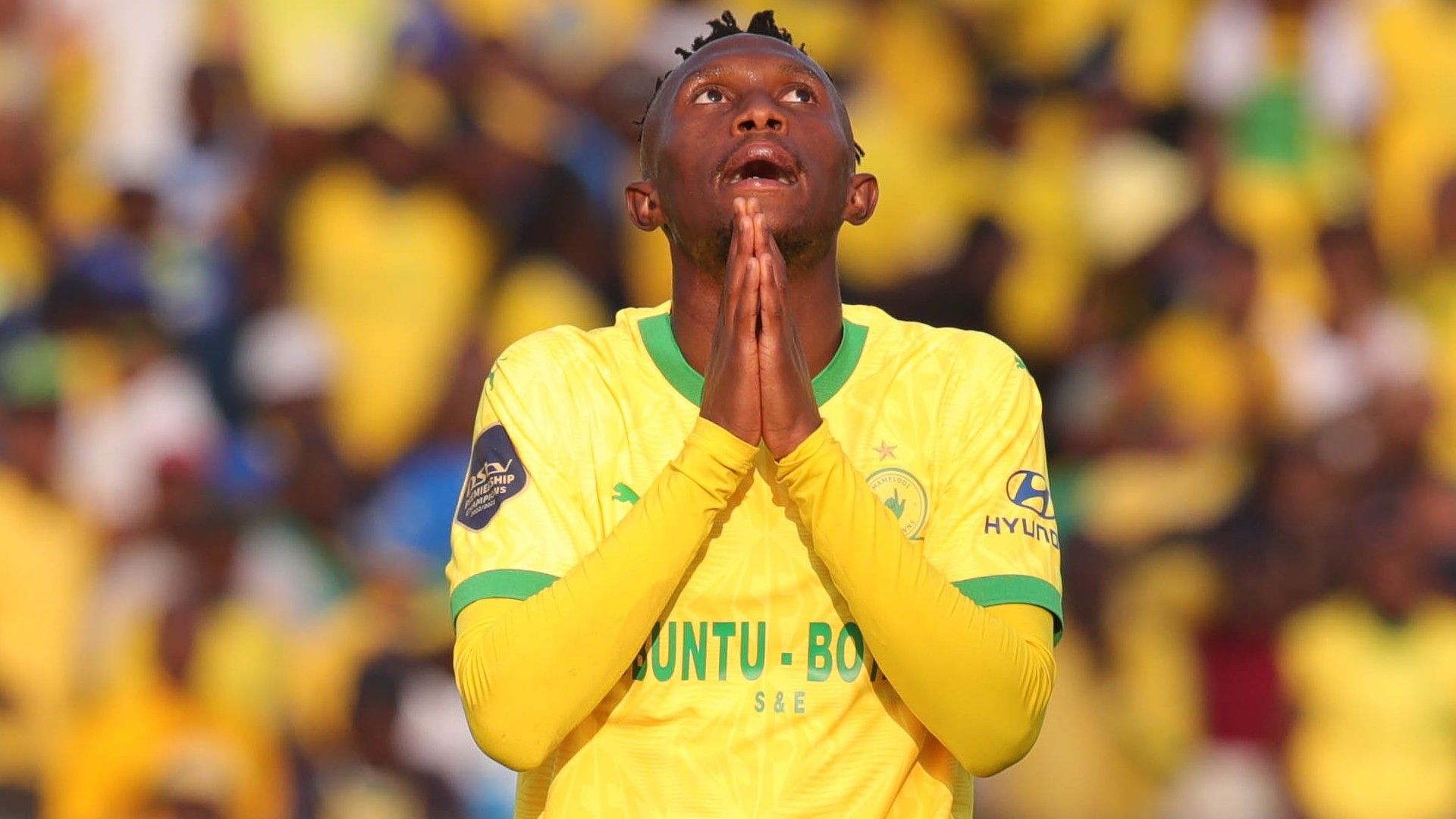 Thapelo Maseko, Mamelodi Sundowns