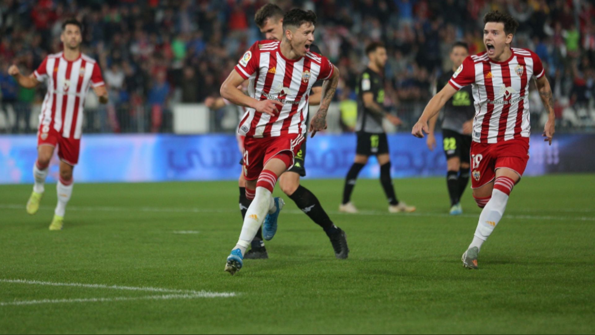 دارون نوينز