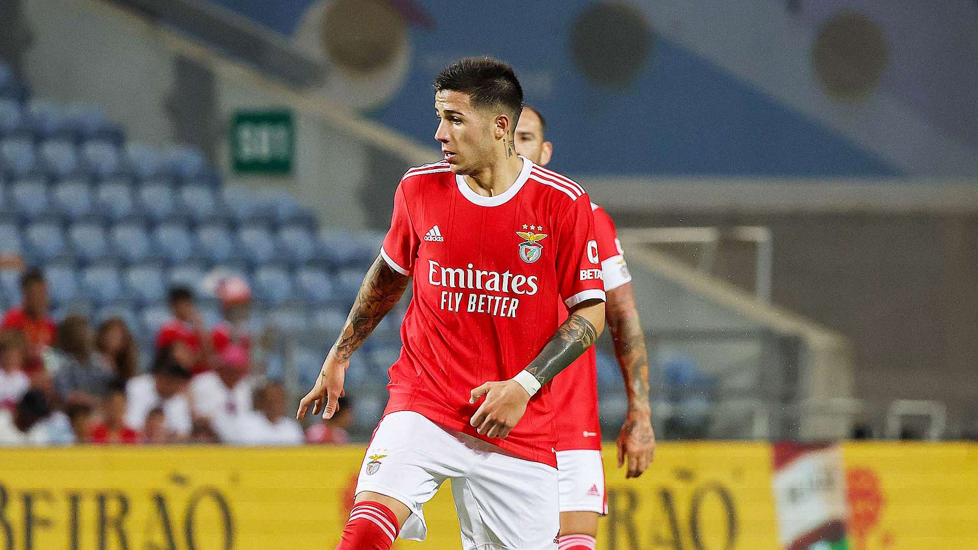 enzo fernandez benfica 2022