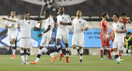 السد العربي القطري