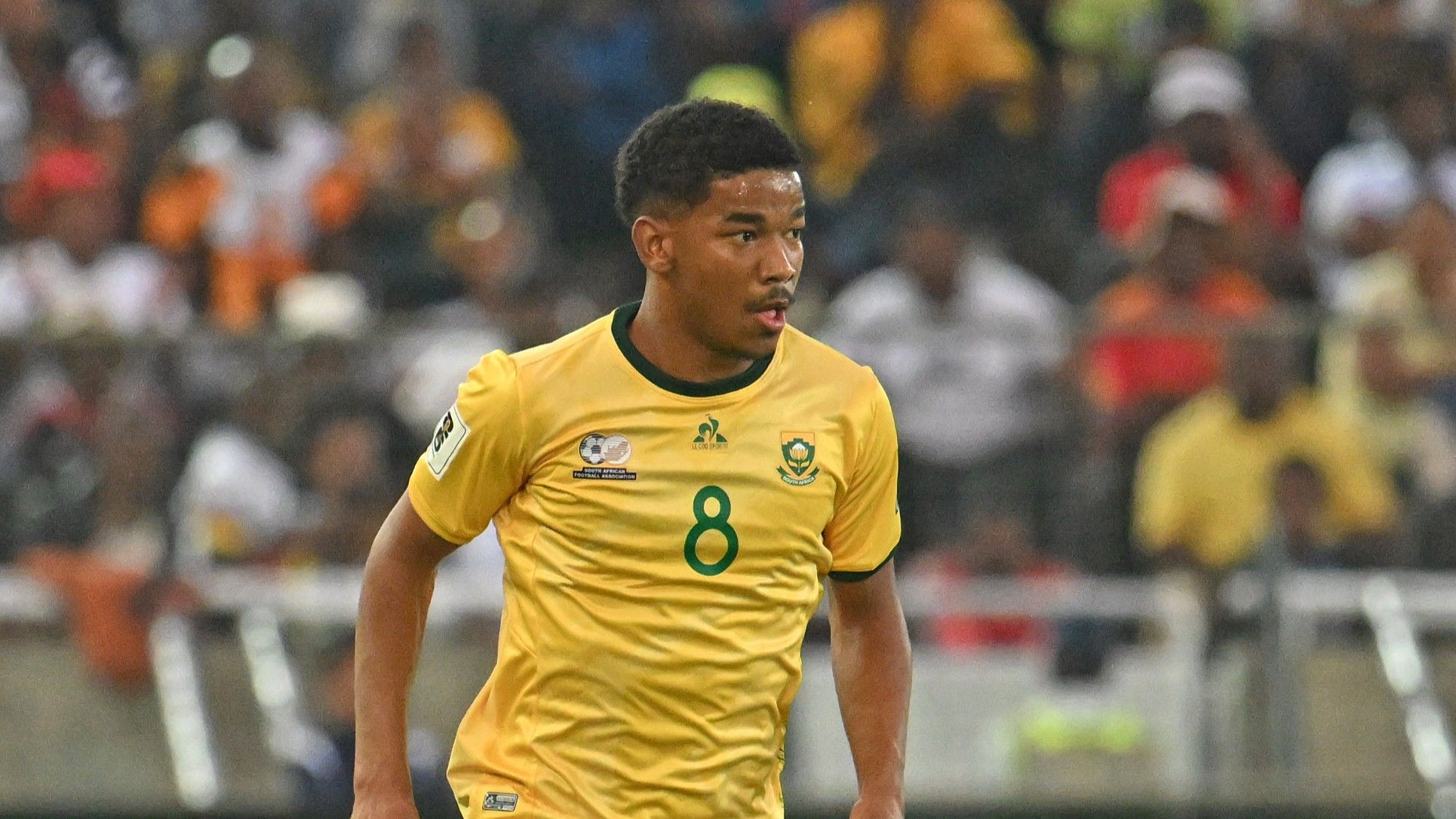 Jayden Adams, Bafana Bafana