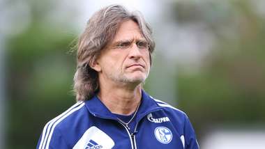 Norbert Elgert Schalke U19 14062014