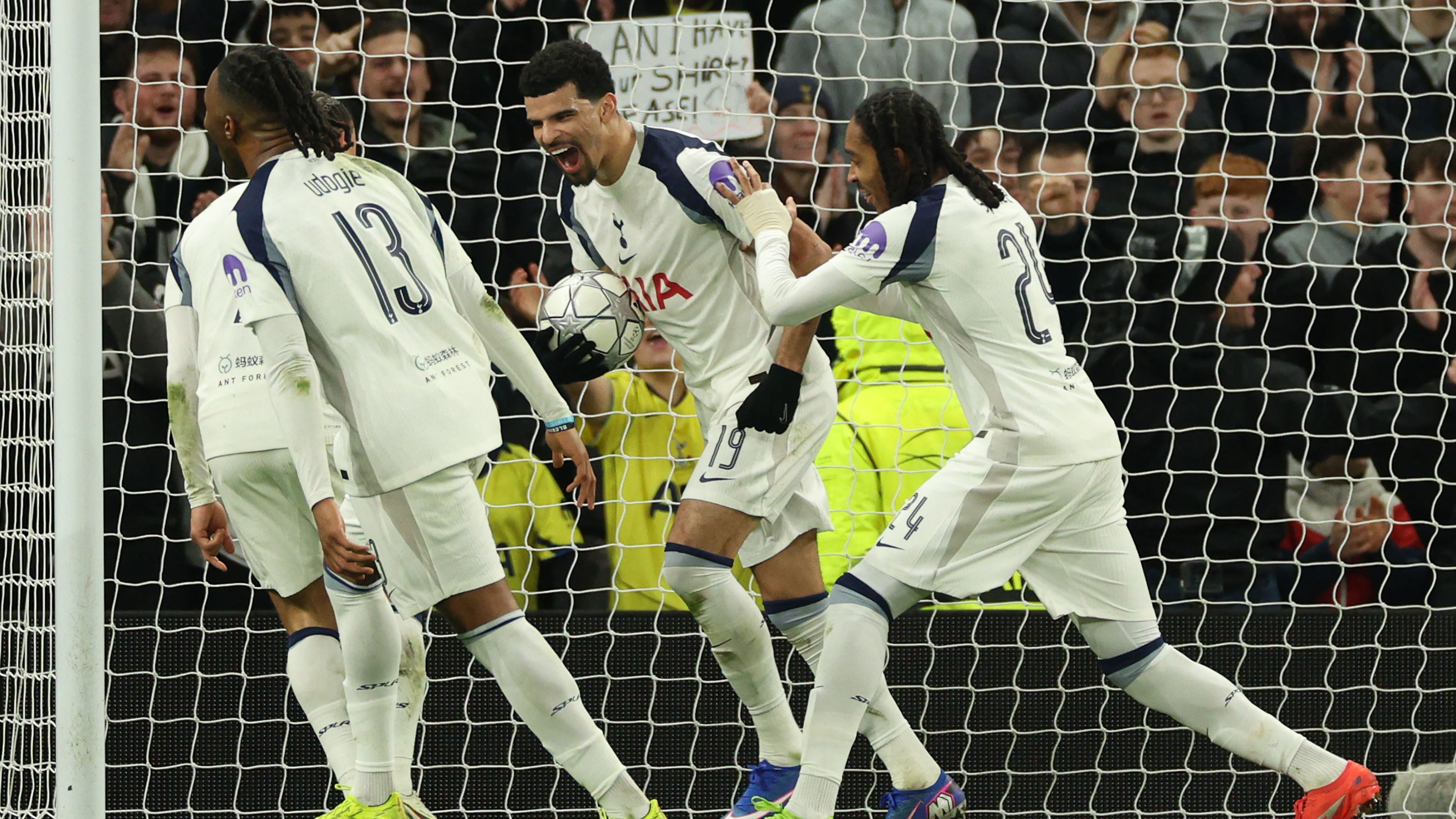 Dominic Solanke Tottenham