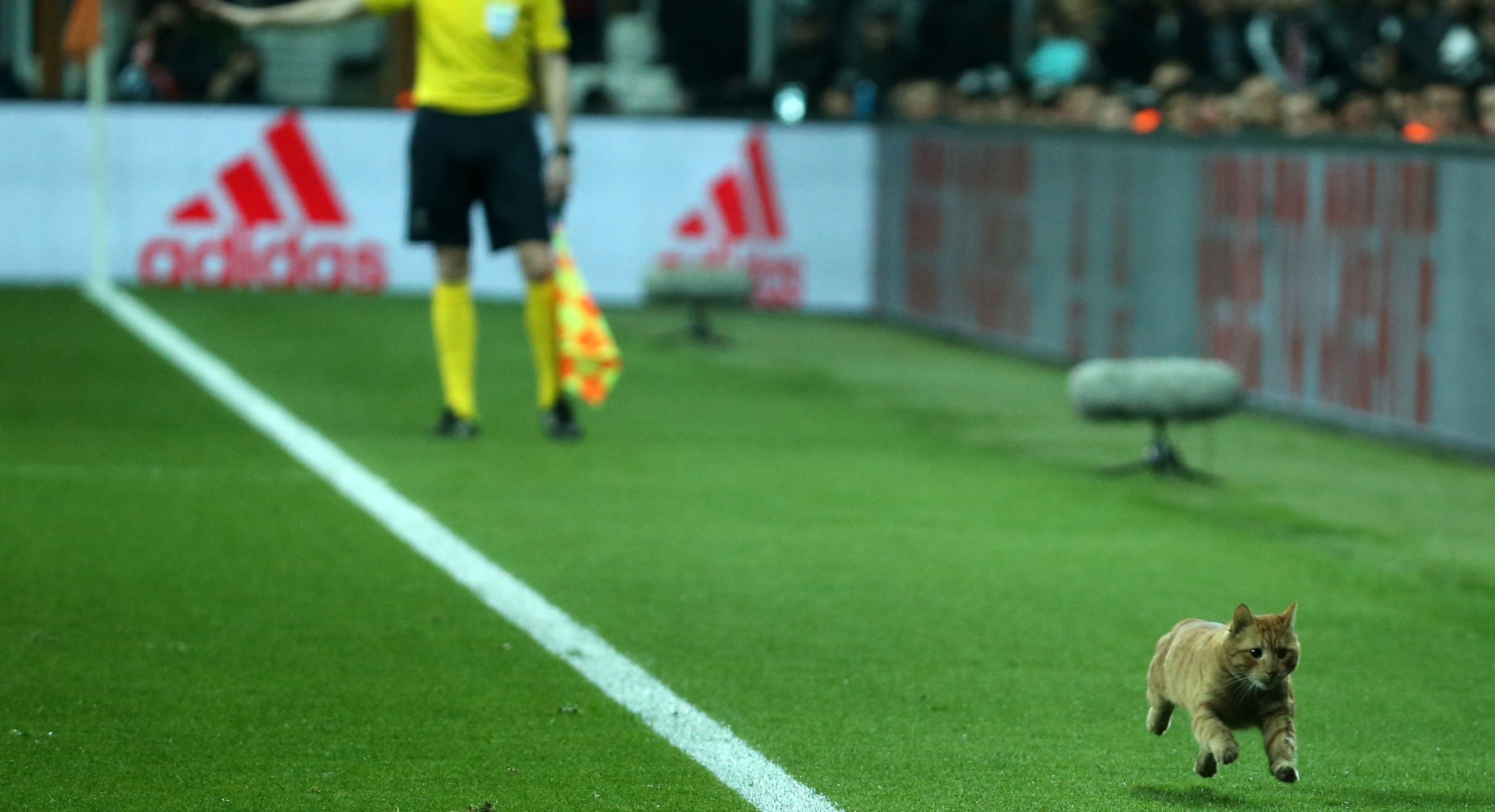 Besiktas Bayern Munchen 03/14/18