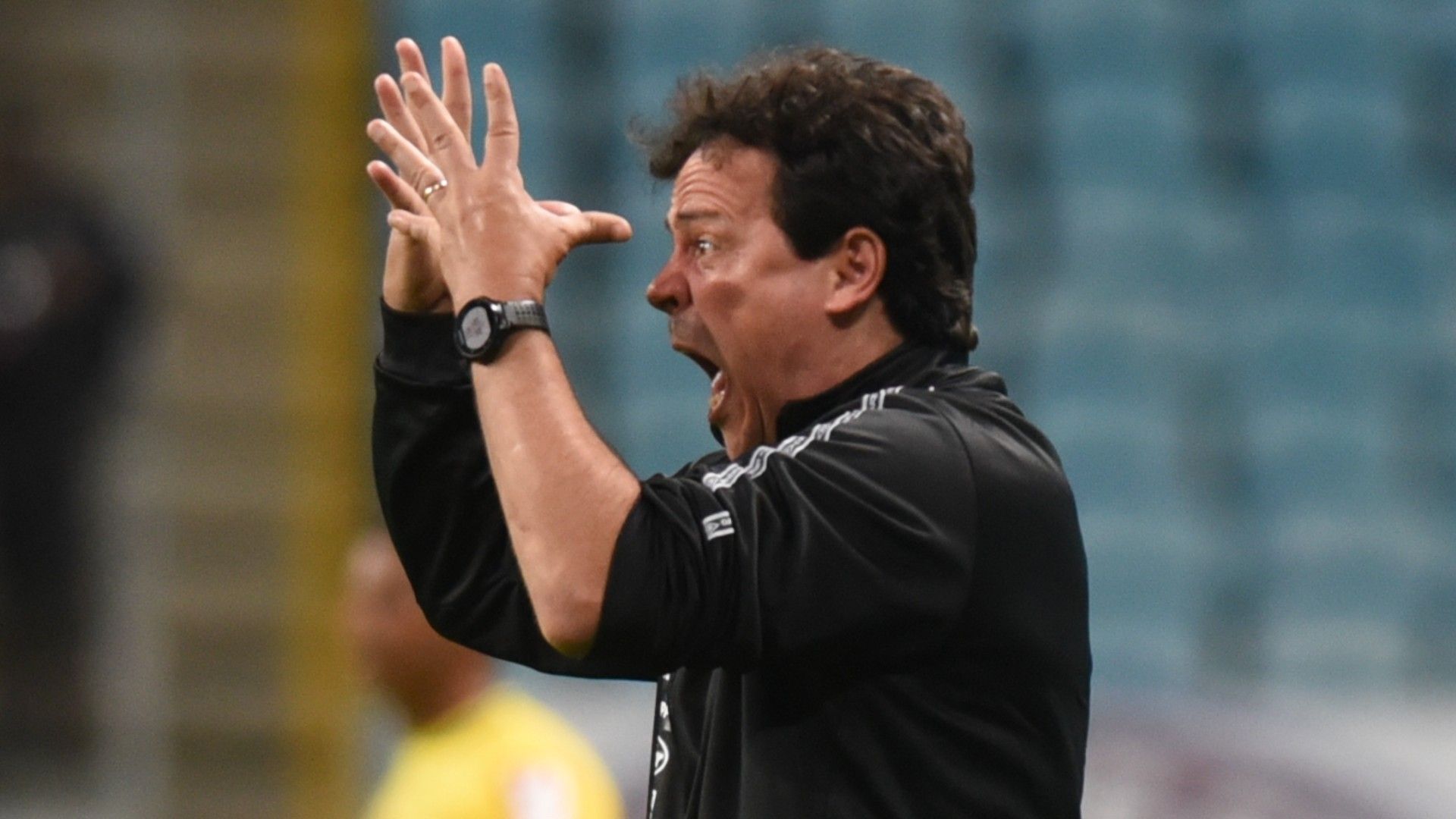 Fernando Diniz Santos Gremio Brasileirão 24 06 2021