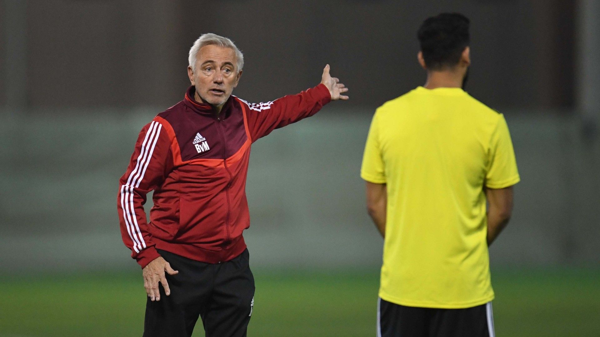 Bert van Marwijk UAE national team