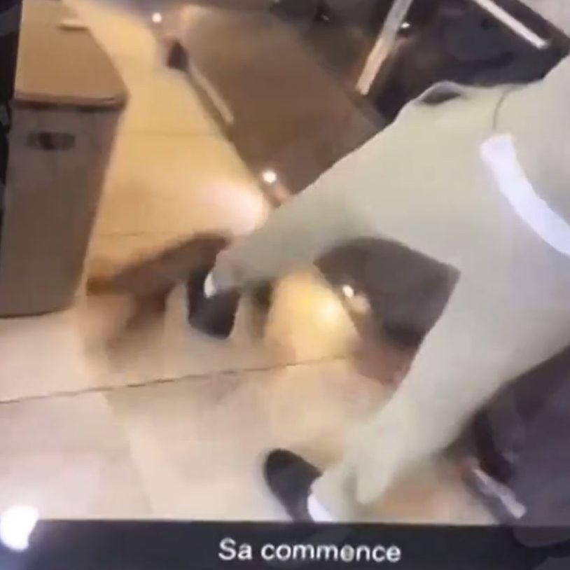 Kurt Zouma West Ham cat