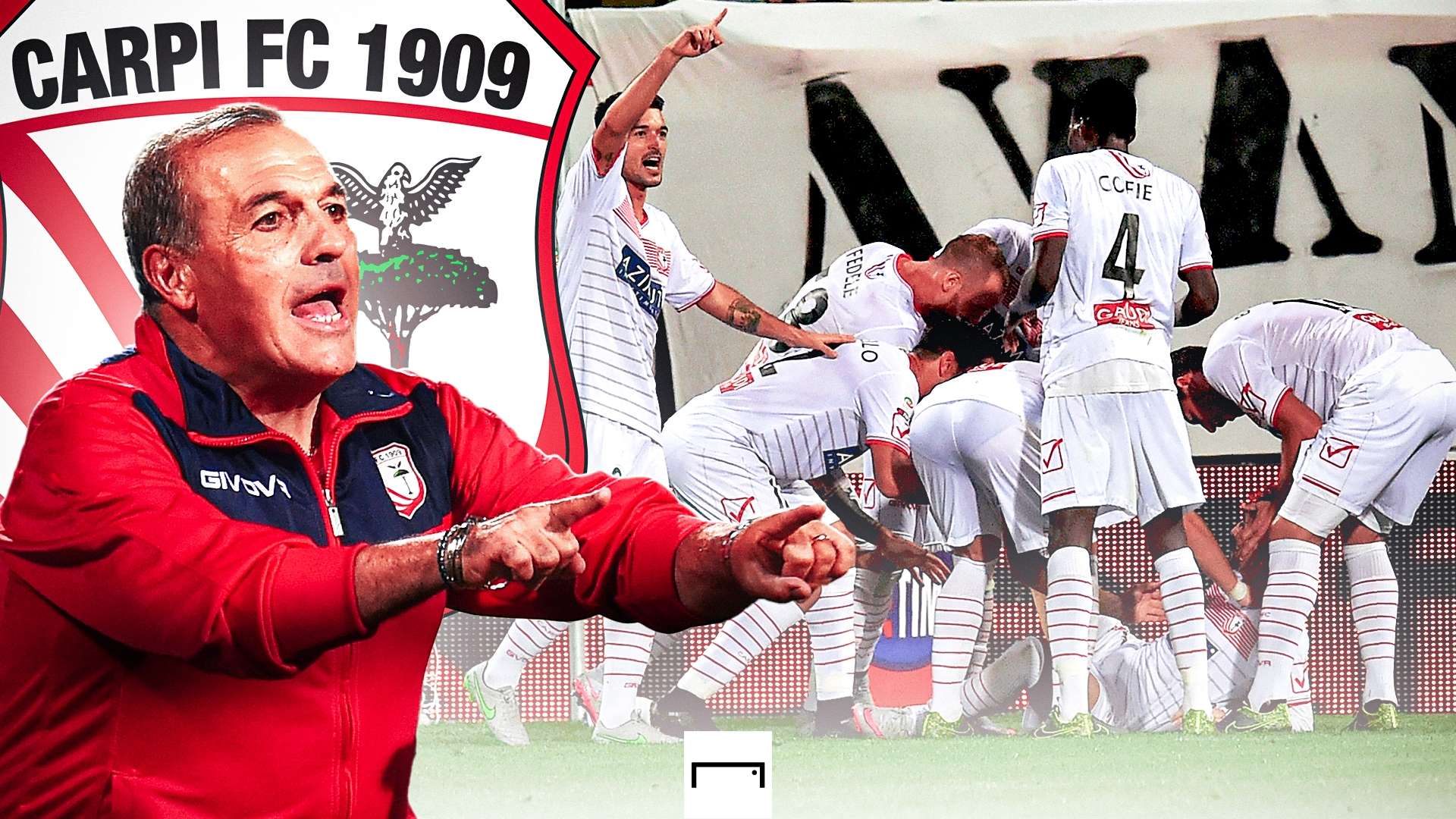 Carpi gfx