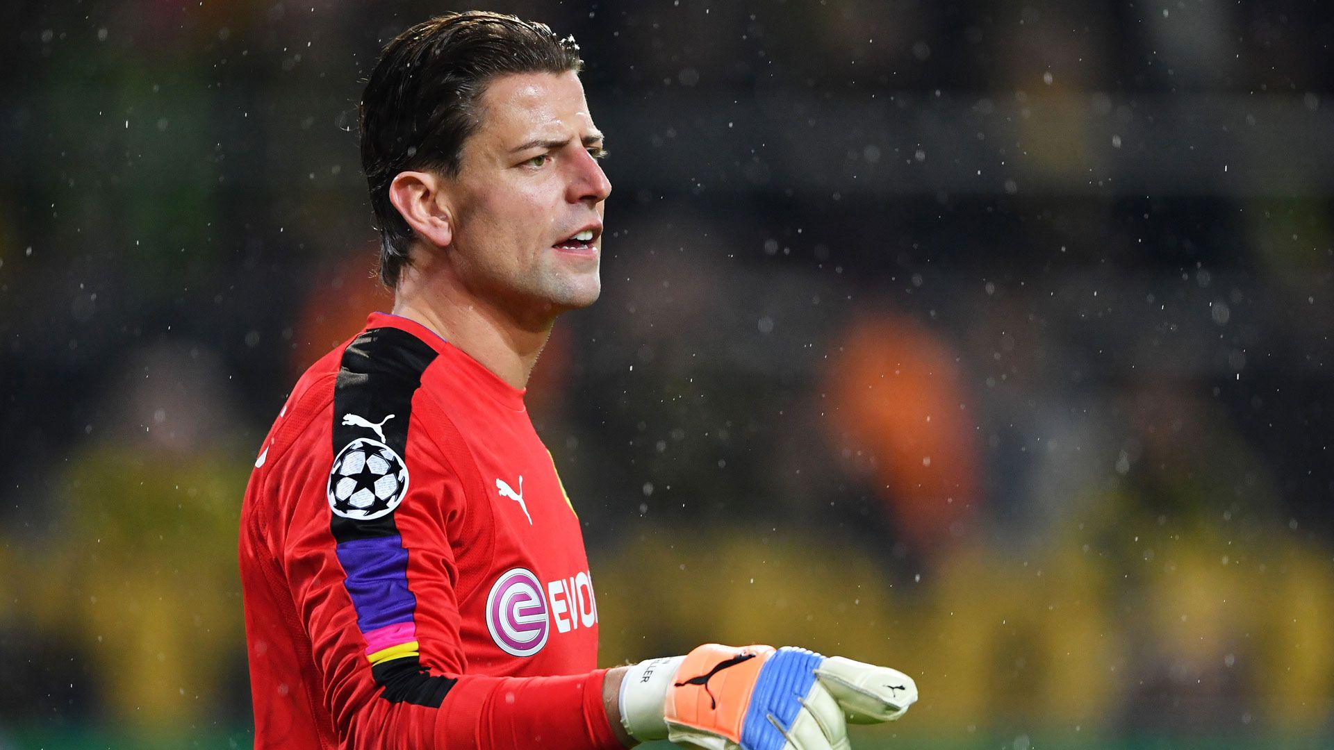 Roman Weidenfeller  11222016