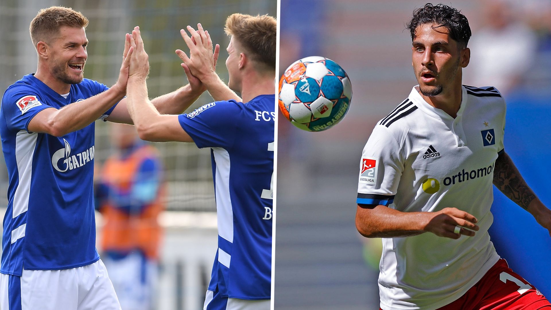 GER ONLY Schalke 04 Hamburger SV HSV TV LIVE-STREAM