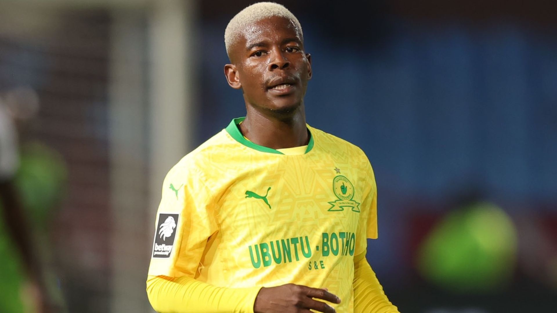 Neo Maema, Mamelodi Sundowns