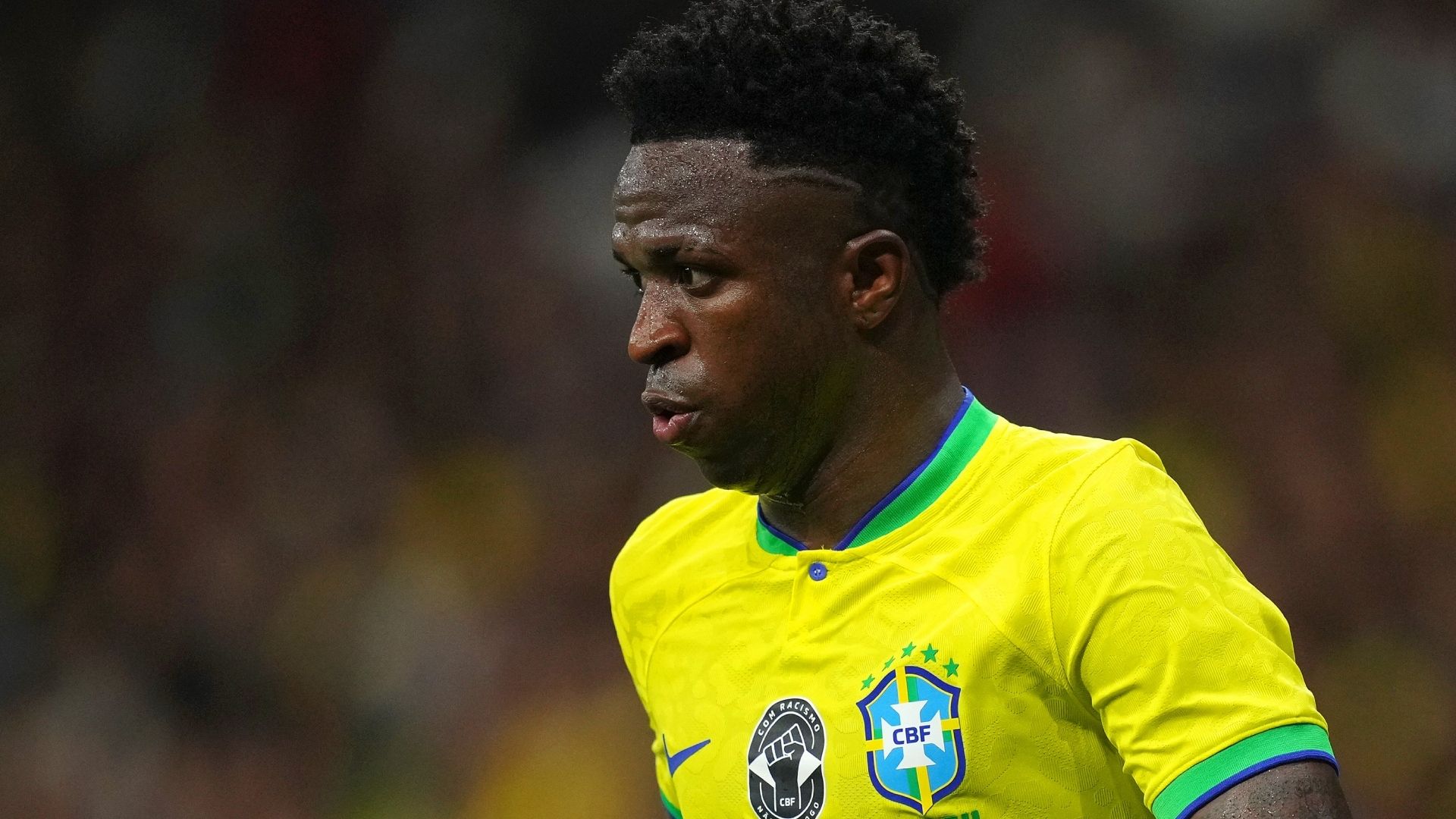 VINICIUS BRASIL 2023