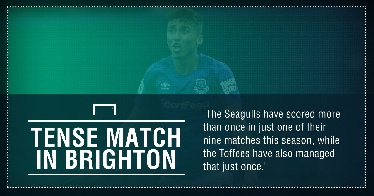 Brighton Everton graphic