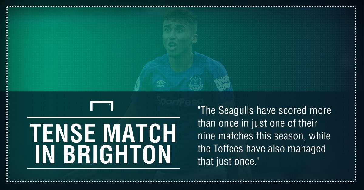 Brighton Everton graphic