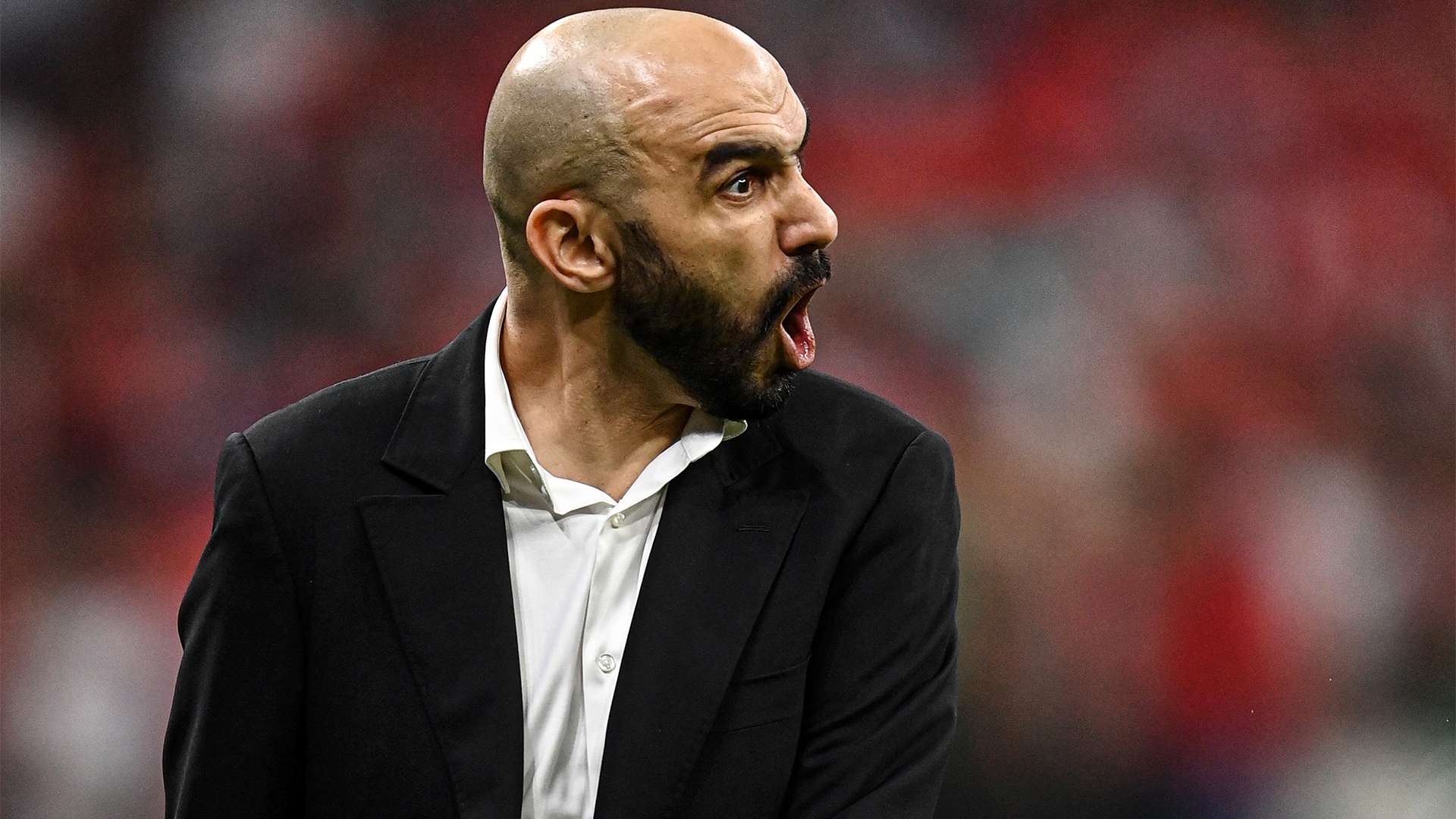 Walid Regragui Morocco France World Cup