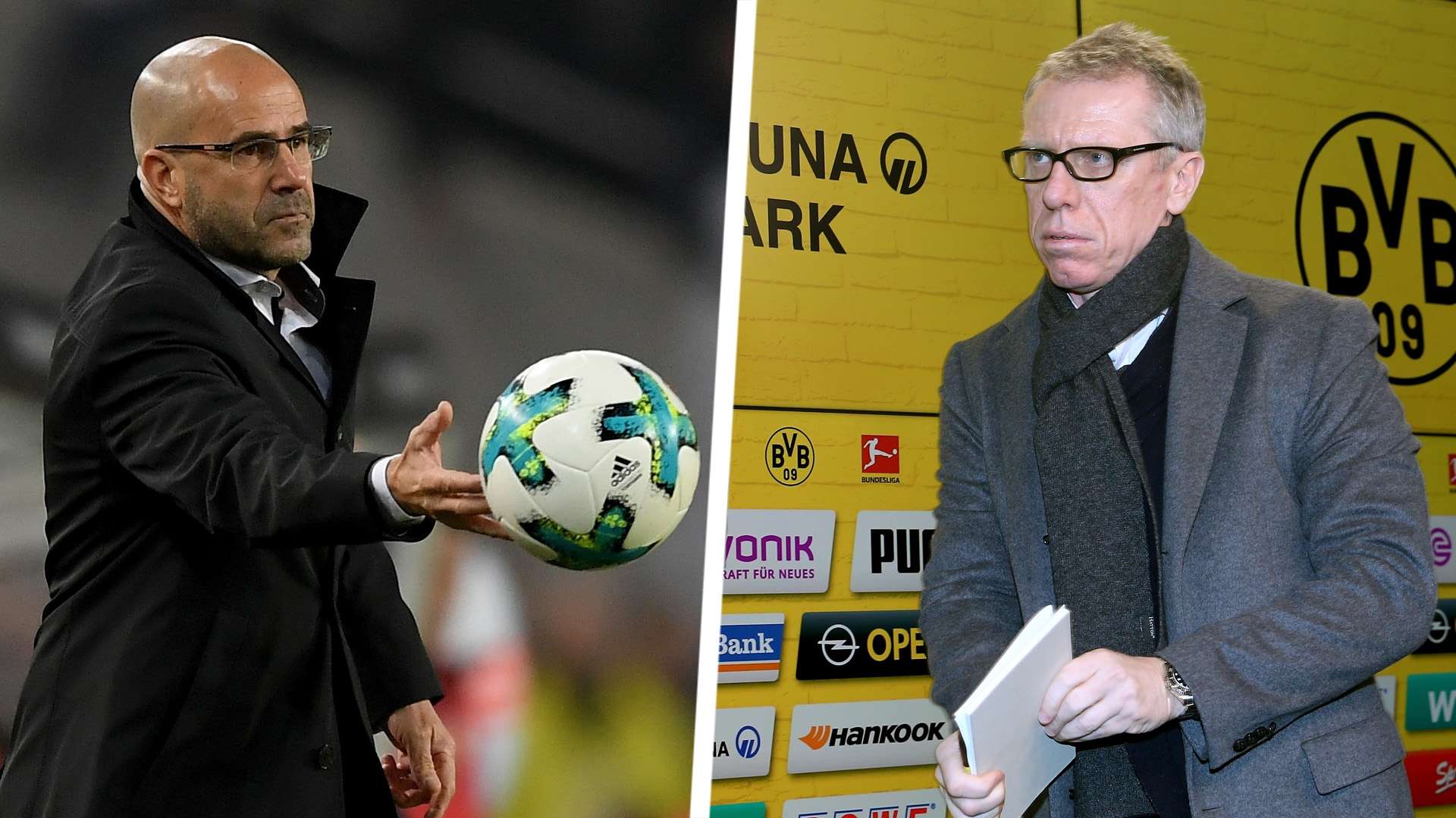 Peter Bosz Peter Stoger Split