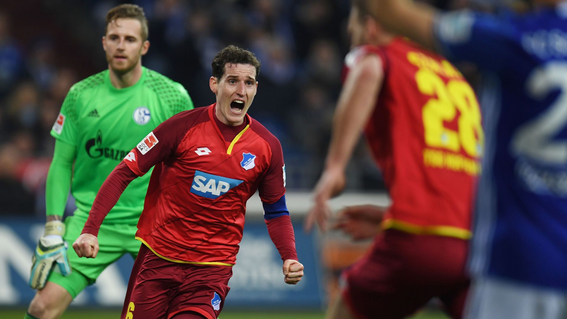 Sebastian Rudy Hoffenheim 26022017