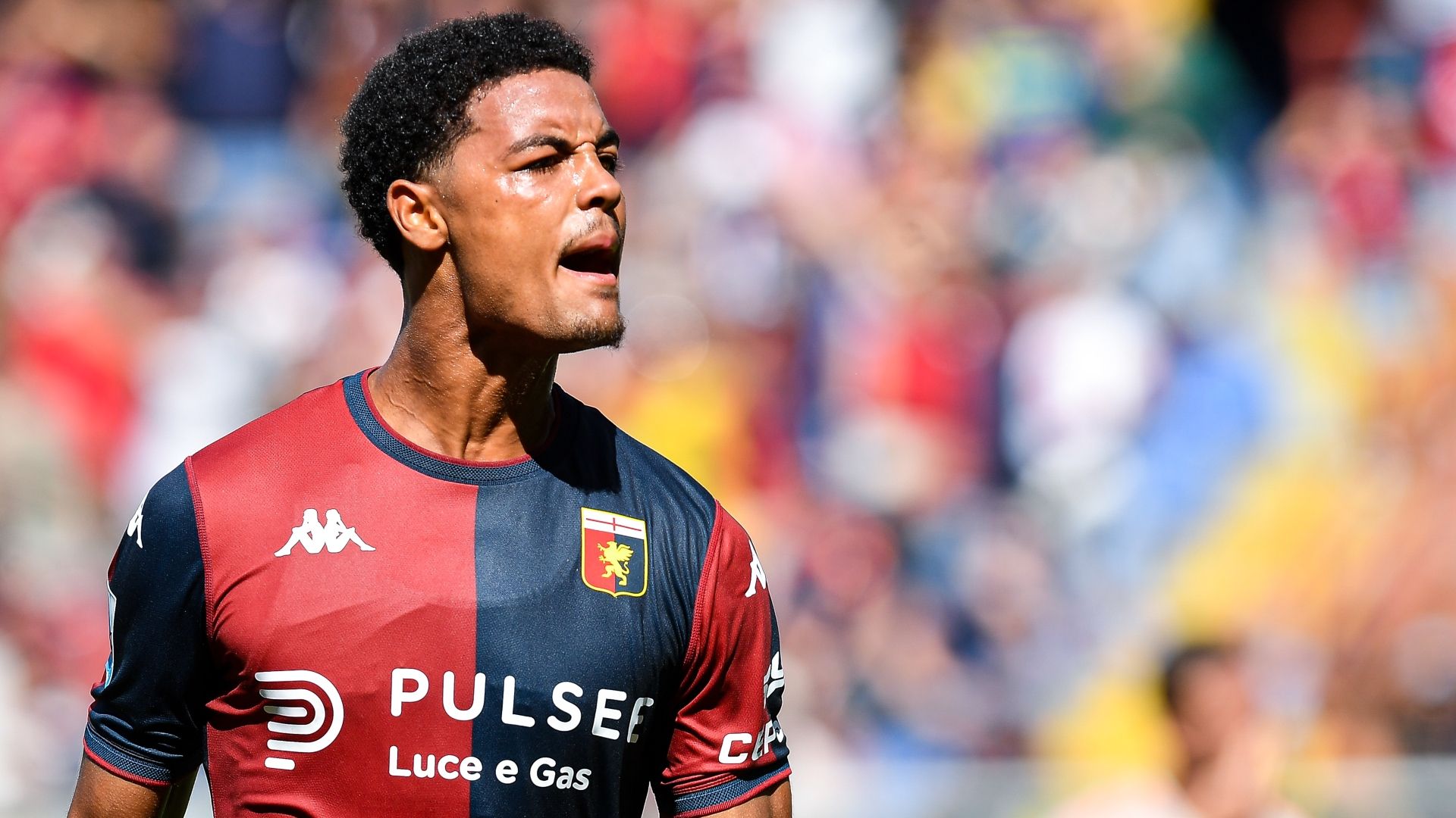 Koni De Winter Genoa 2024-2025