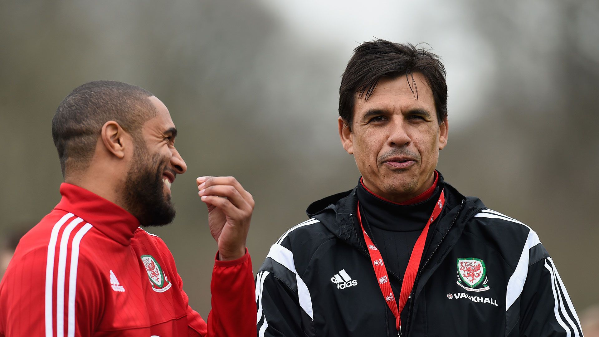 Chris Coleman Wales
