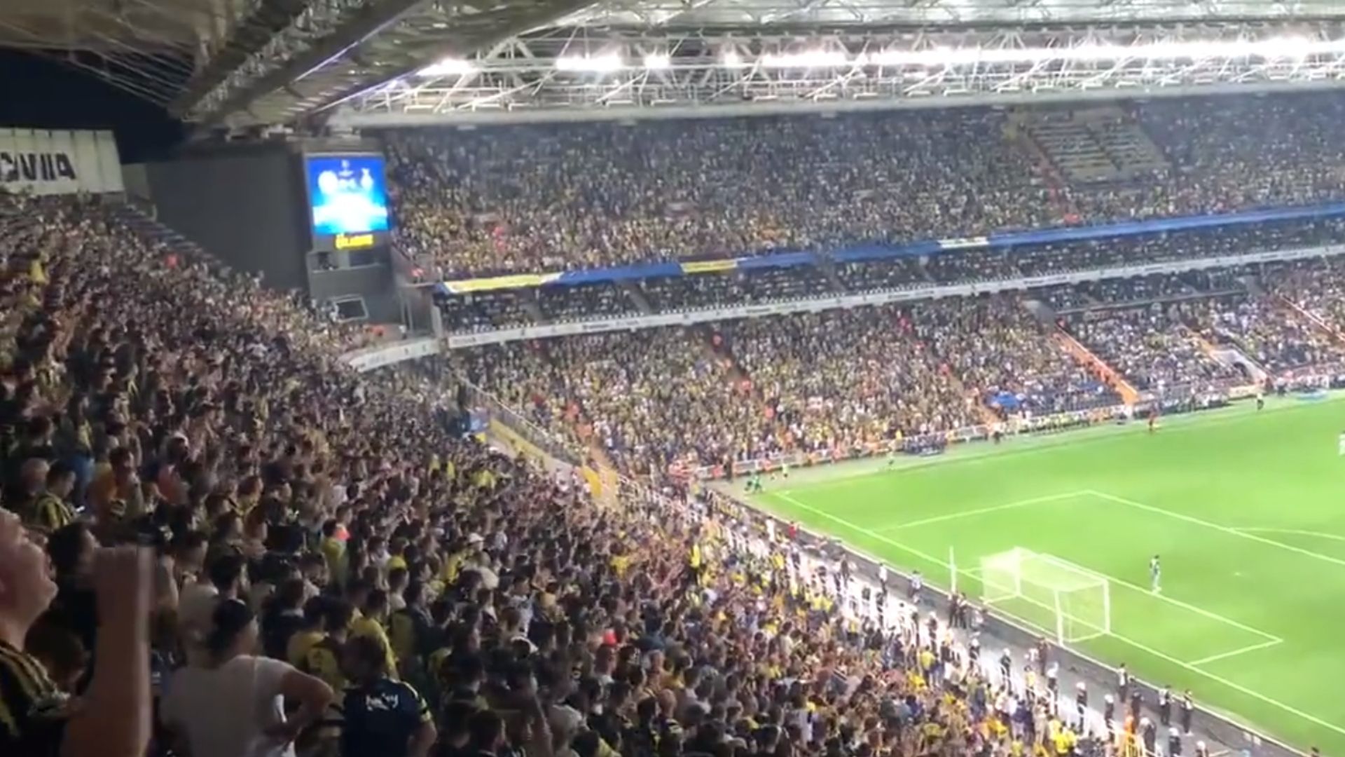 Fenerbahce Fans 