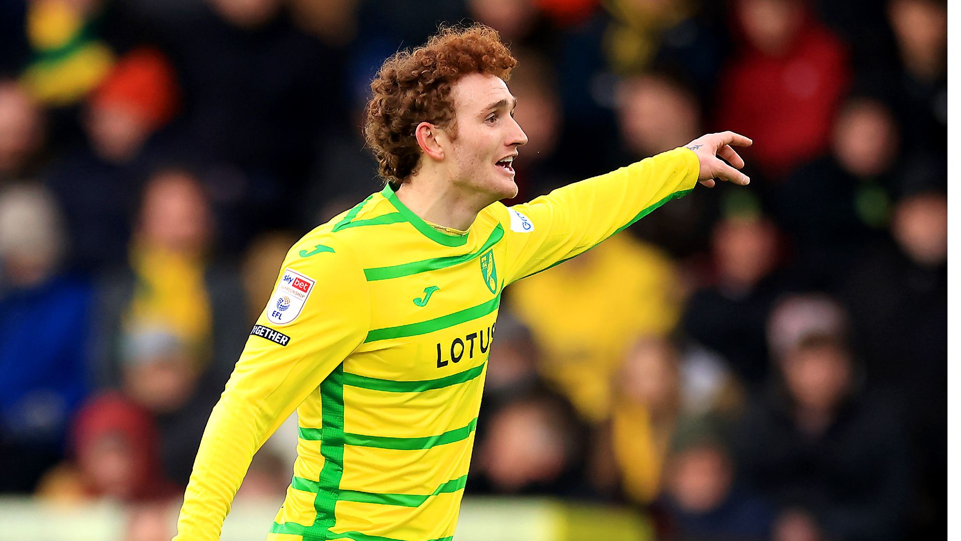 Sargent Norwich 2024