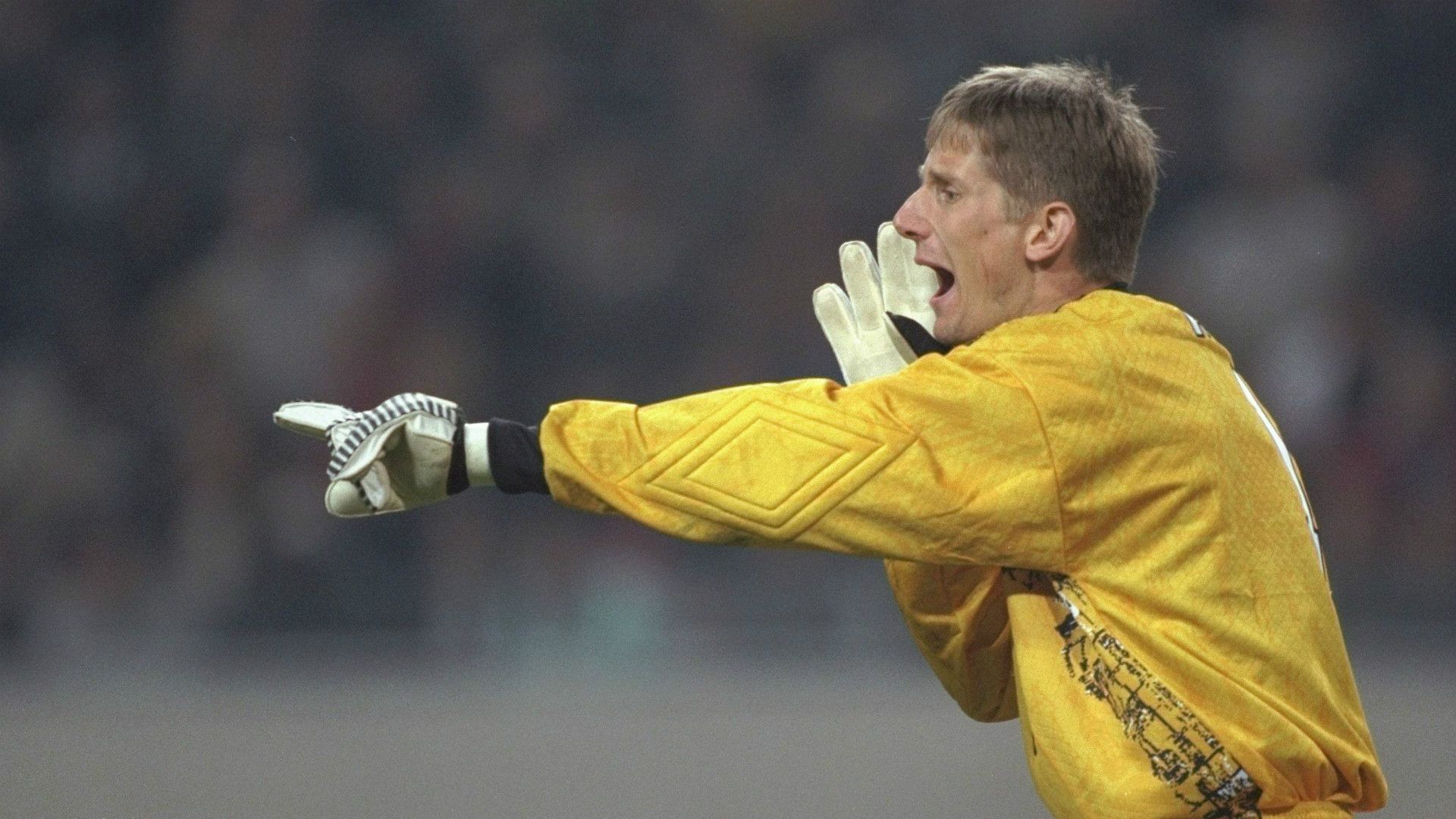 Edwin Van Der Sar Ajax Champions League