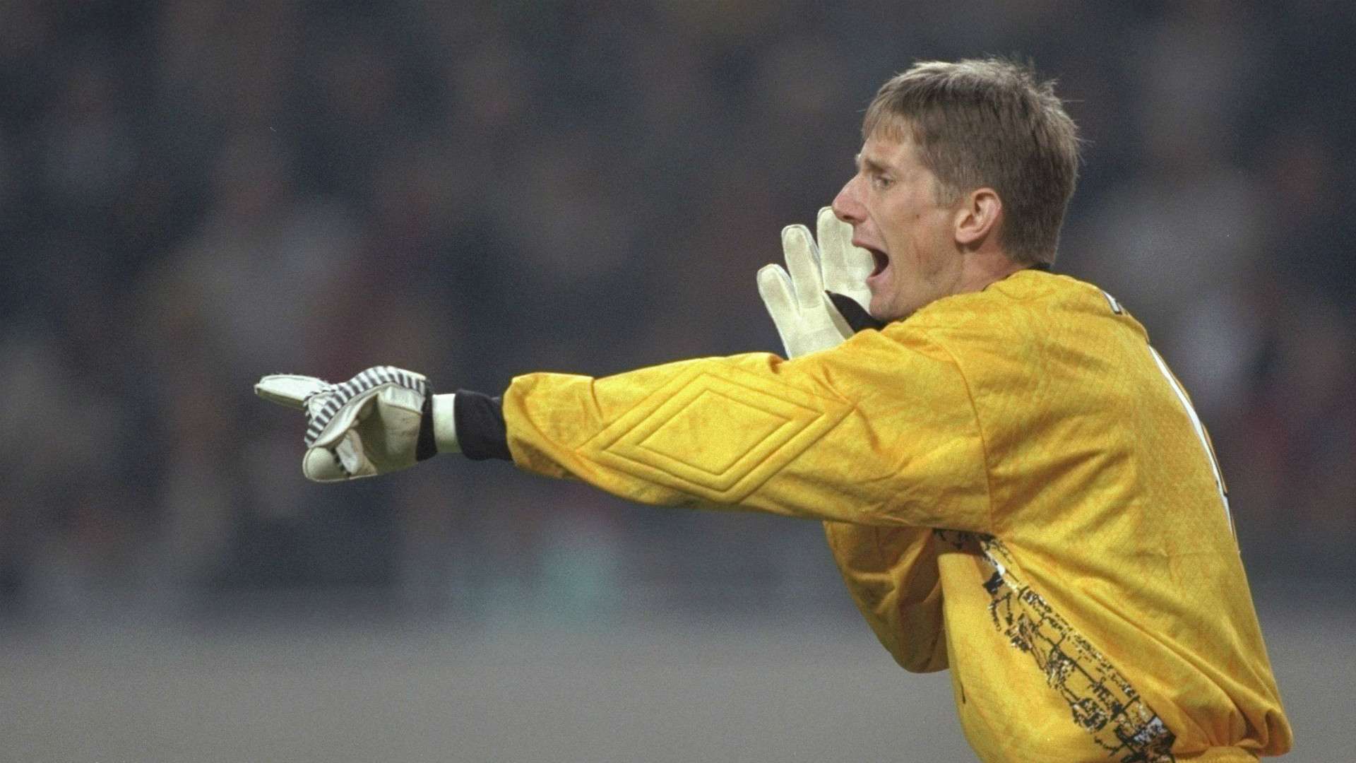 Edwin Van Der Sar Ajax Champions League