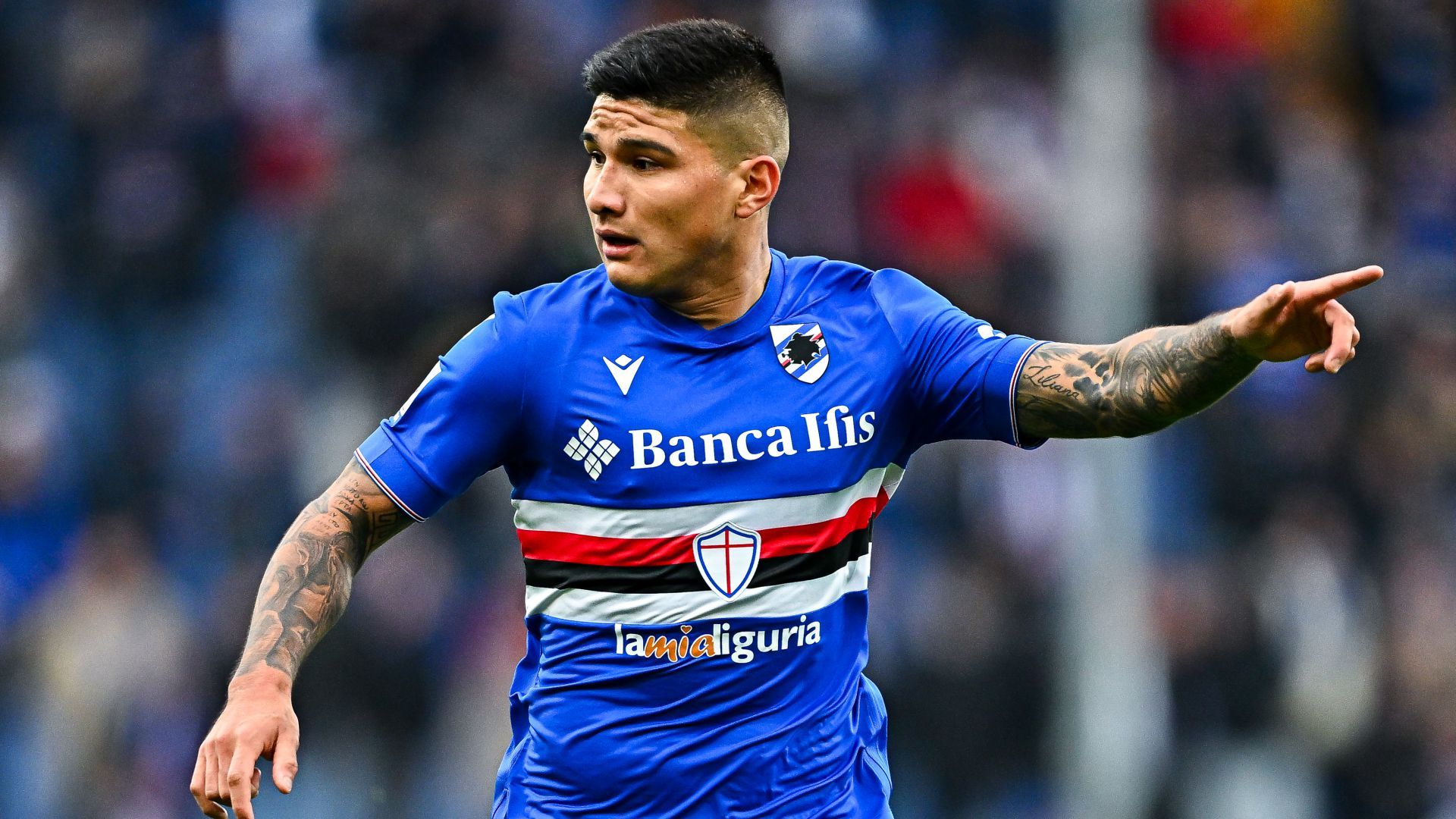 Bruno Amione Sampdoria