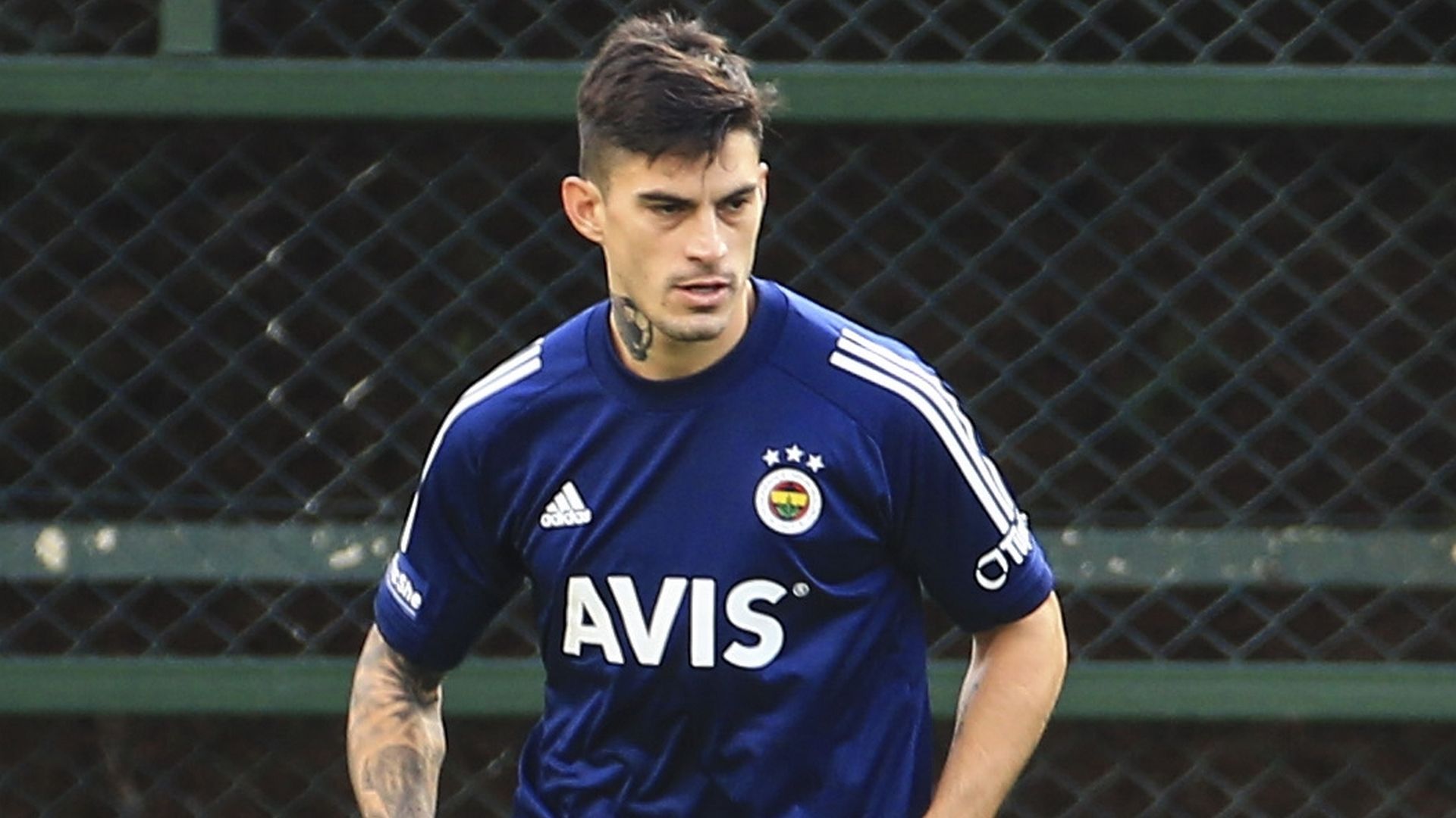 Diego Perotti Fenerbahce