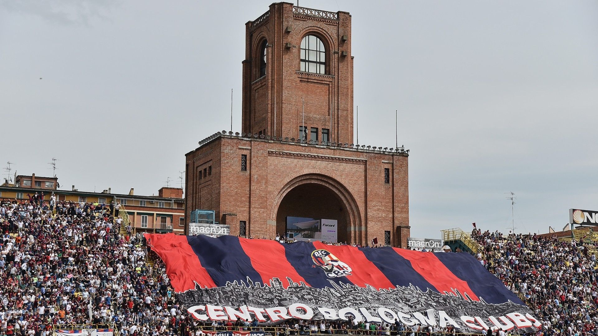 Bologna fans Dall'Ara
